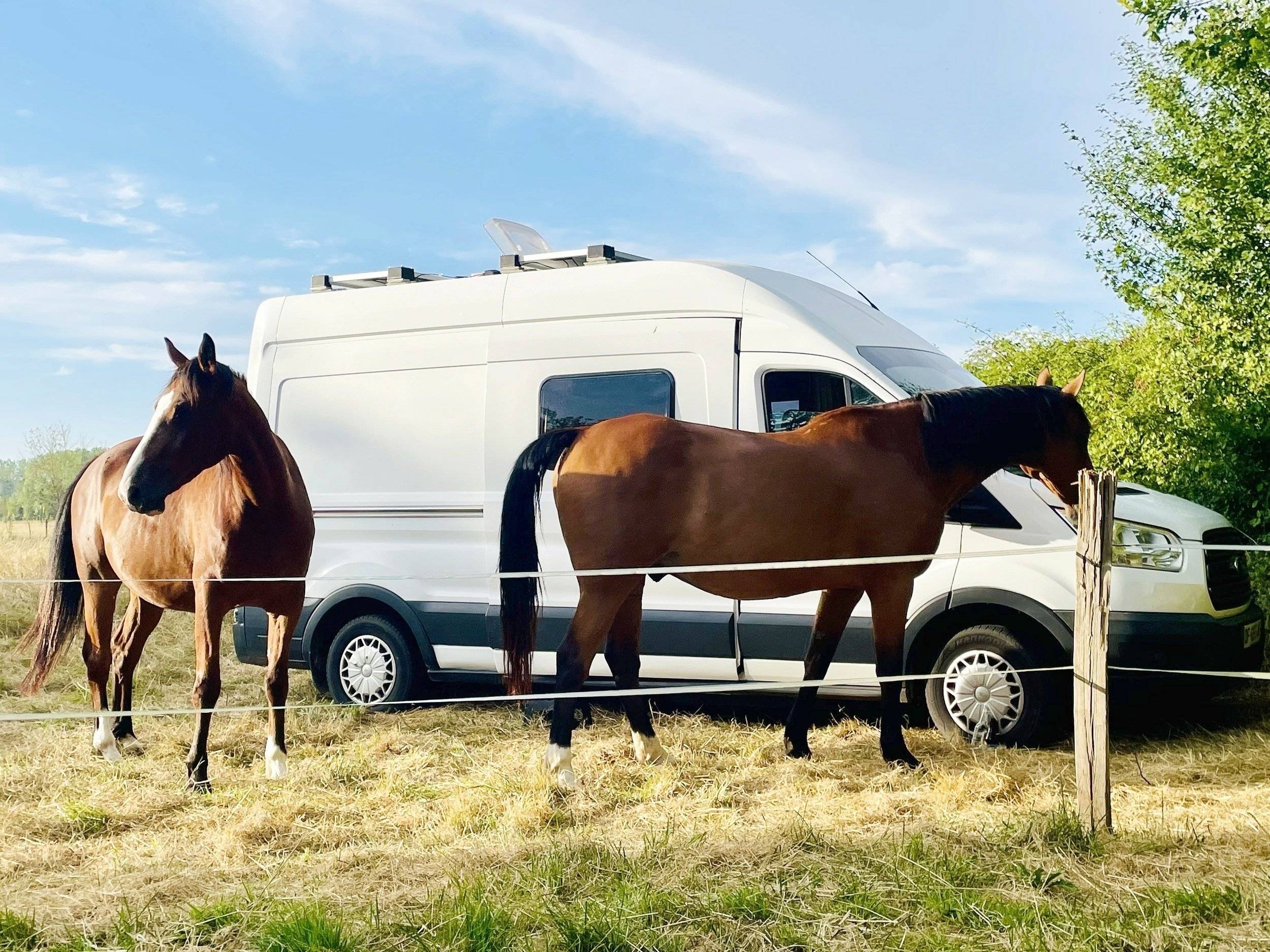Ford Transit 2,2 l 125 ch