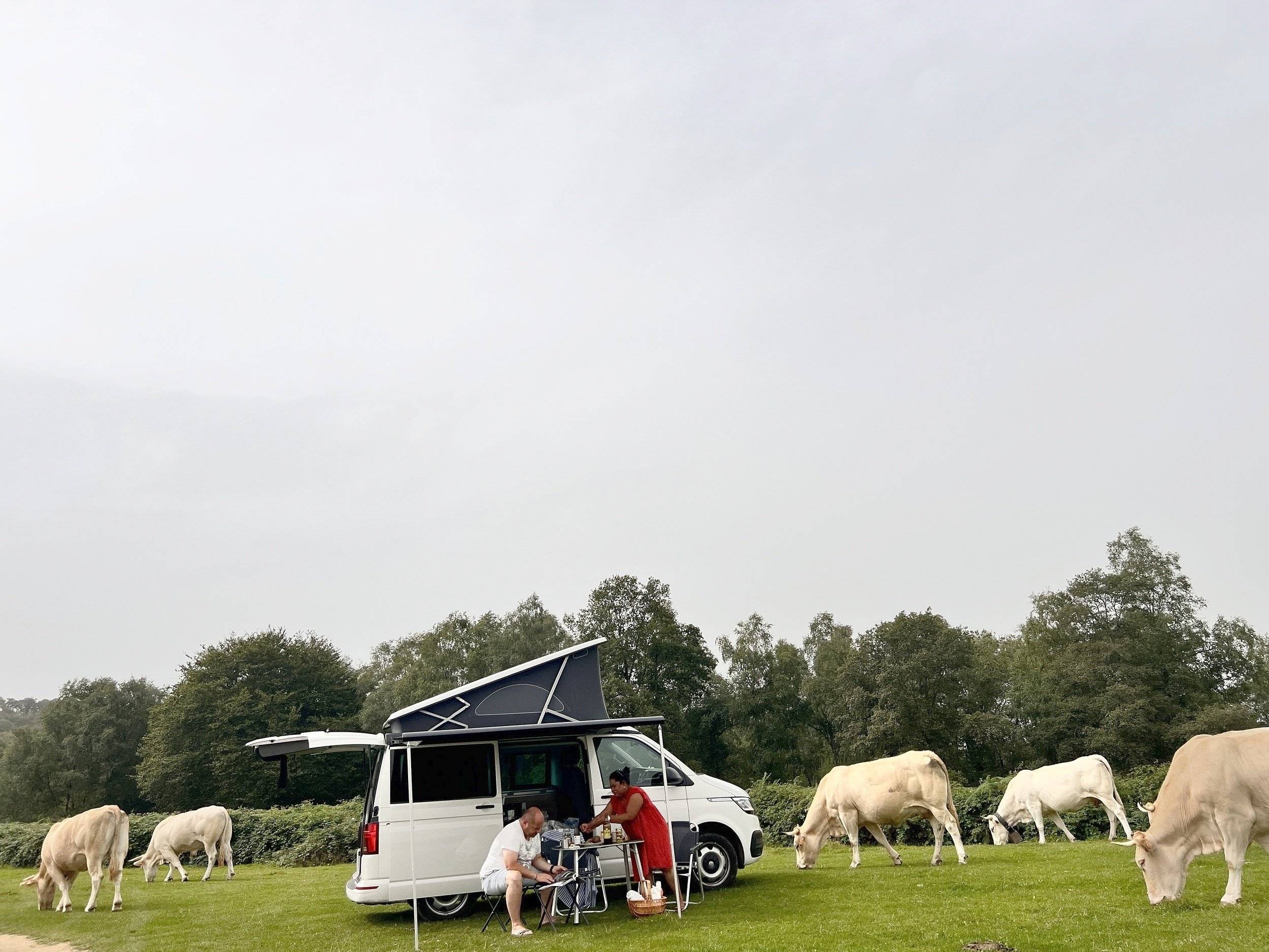 Vista de 3/4 Volkswagen California T6 2 l TDI 150 ch - Yescapa