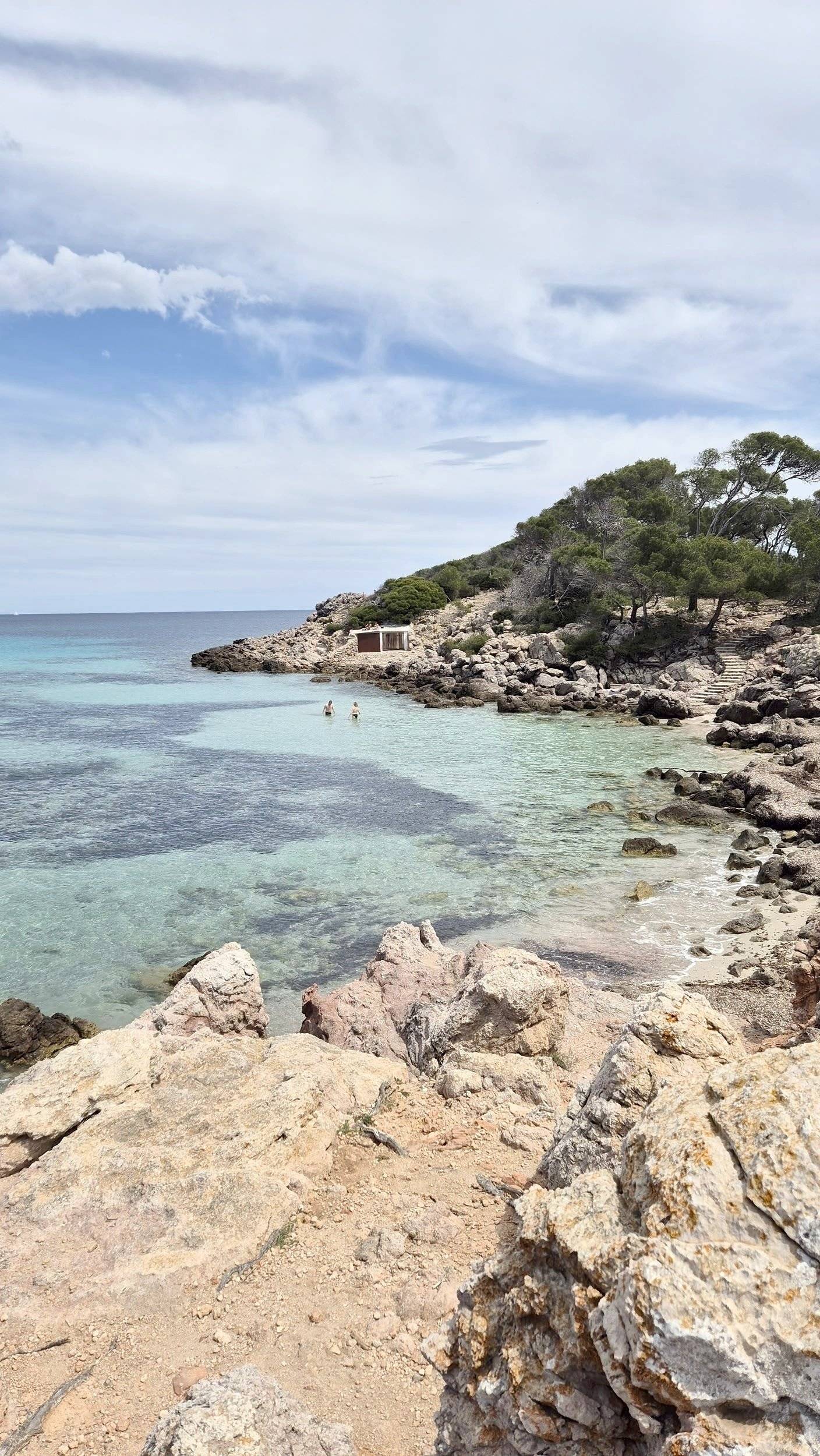 Bavaria Trigano FD1 /FOT3M335KPFD41ZO/Genesis