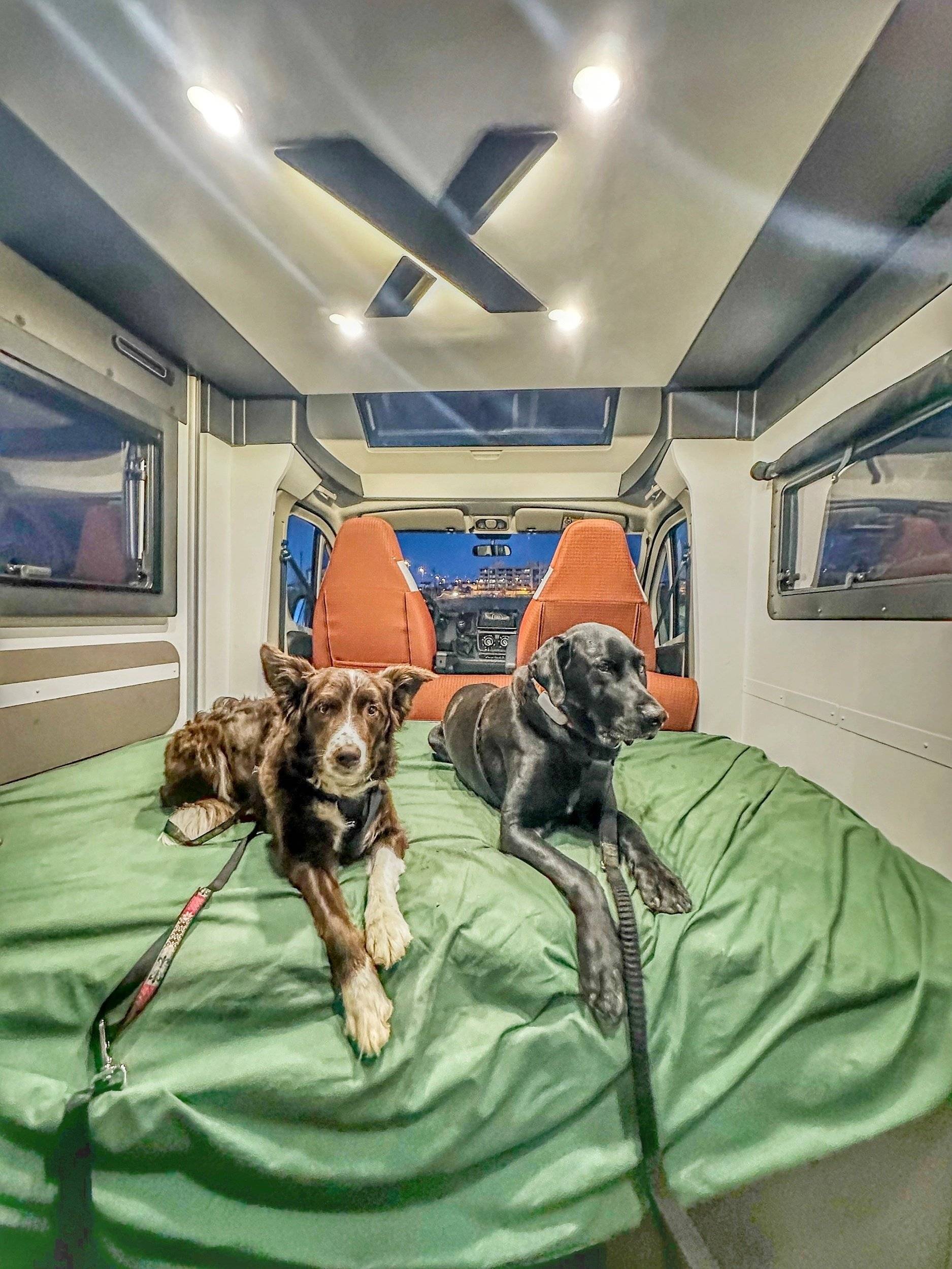 Challenger FIAT DUCATO