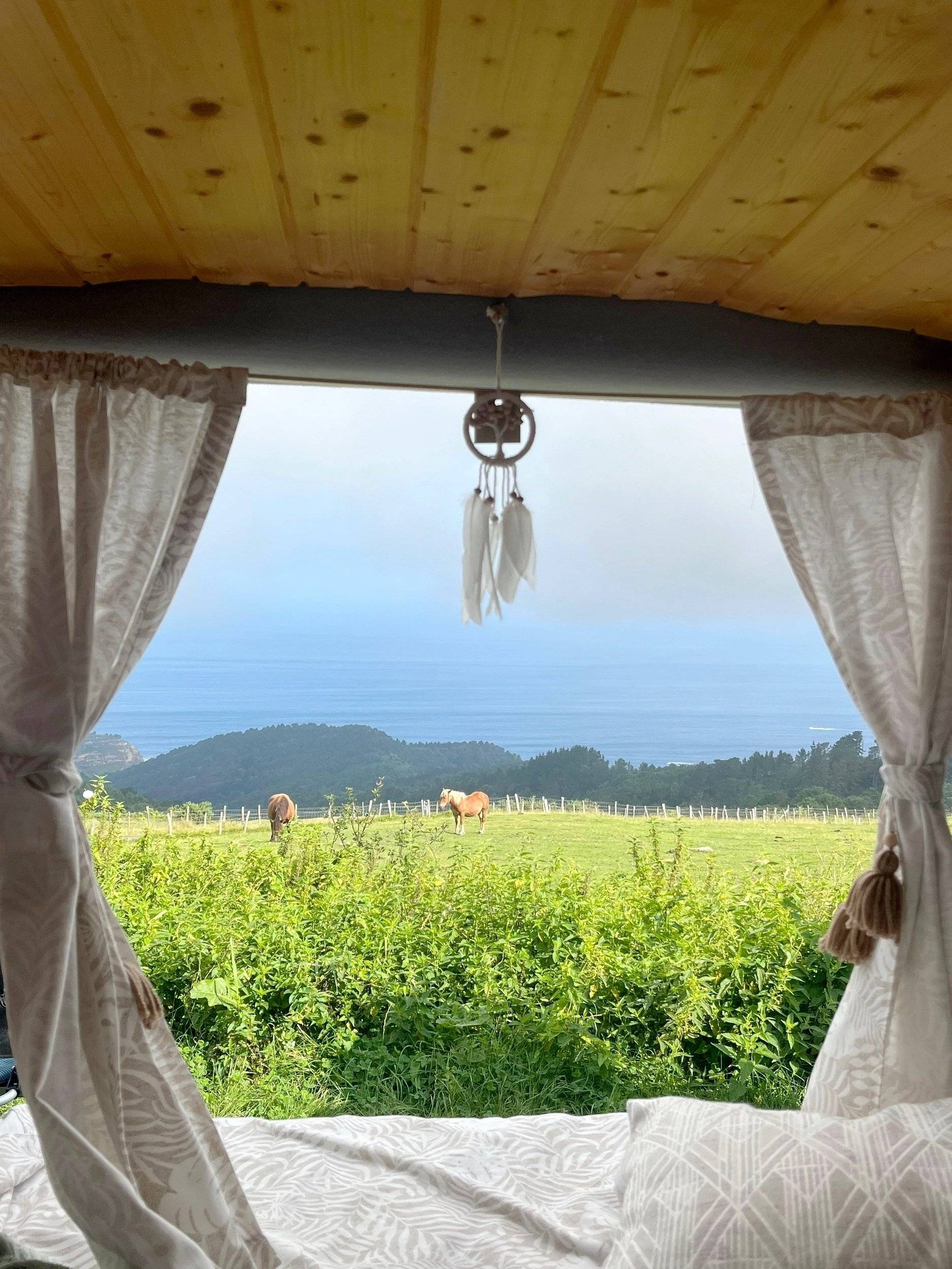 Volkswagen Volkswagen transporter T5