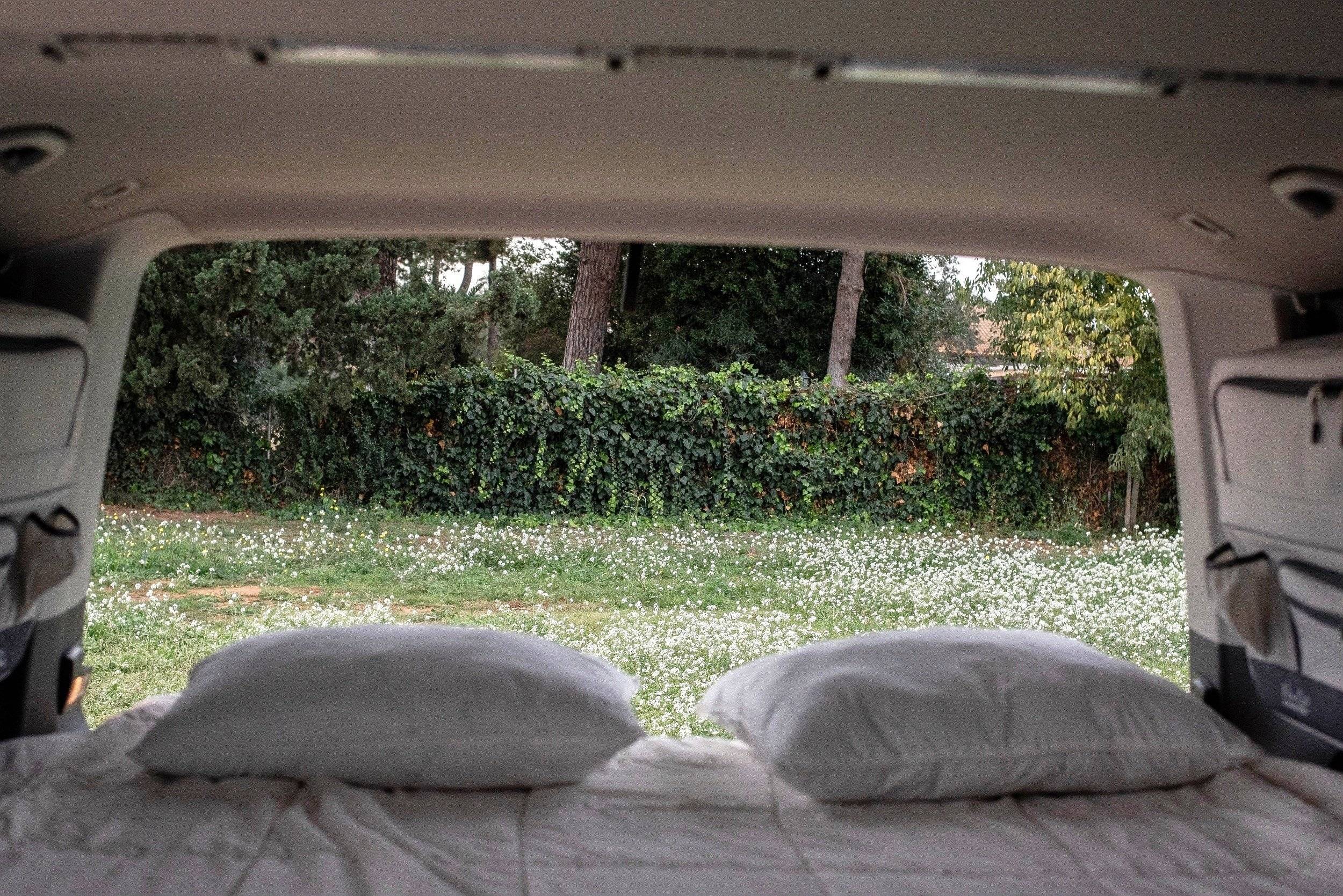 Volkswagen Multivan T5