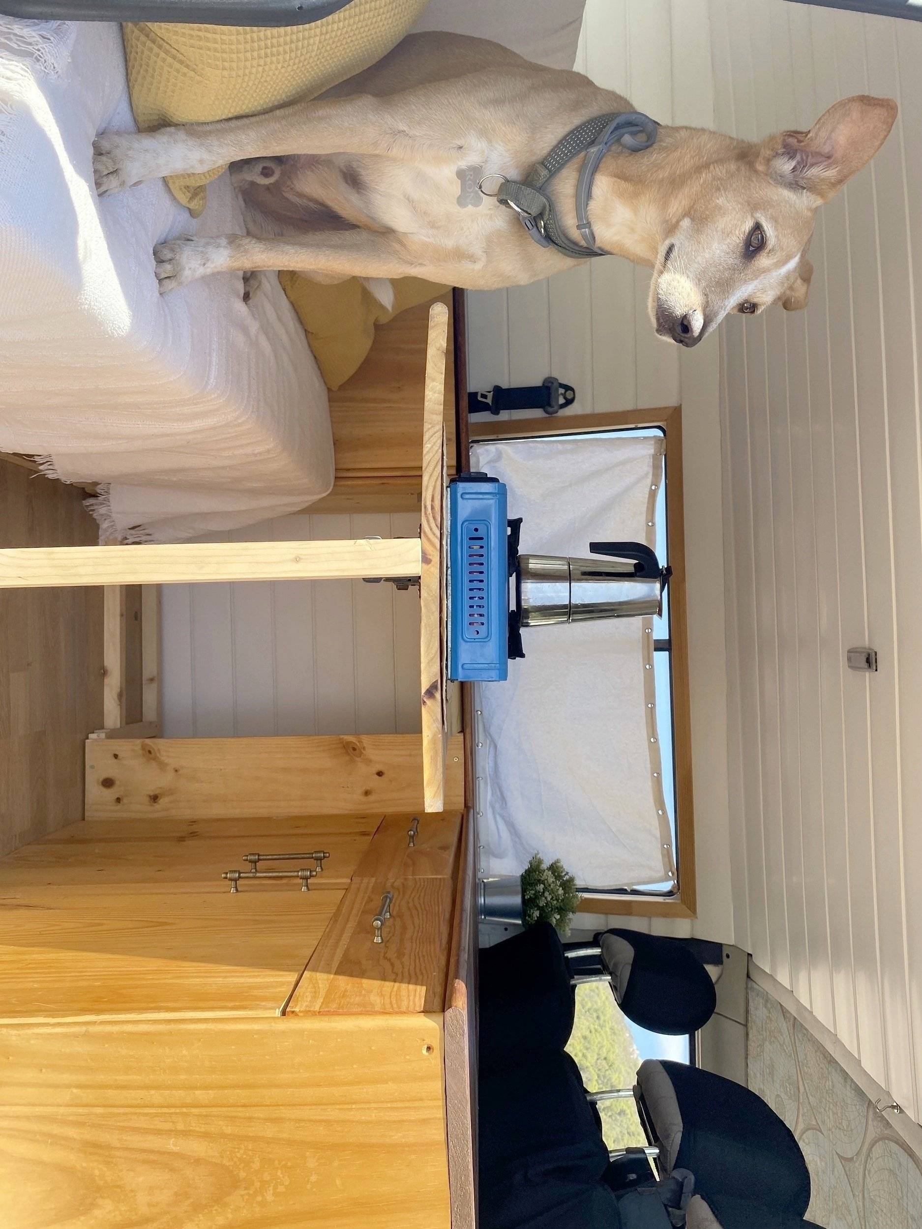 Volkswagen Transporter T4