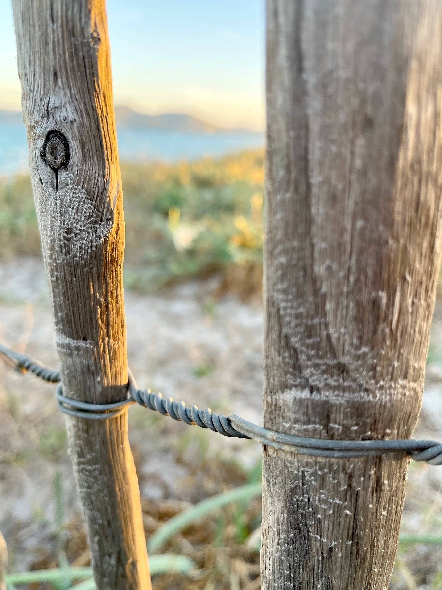 review photo thumbnail
