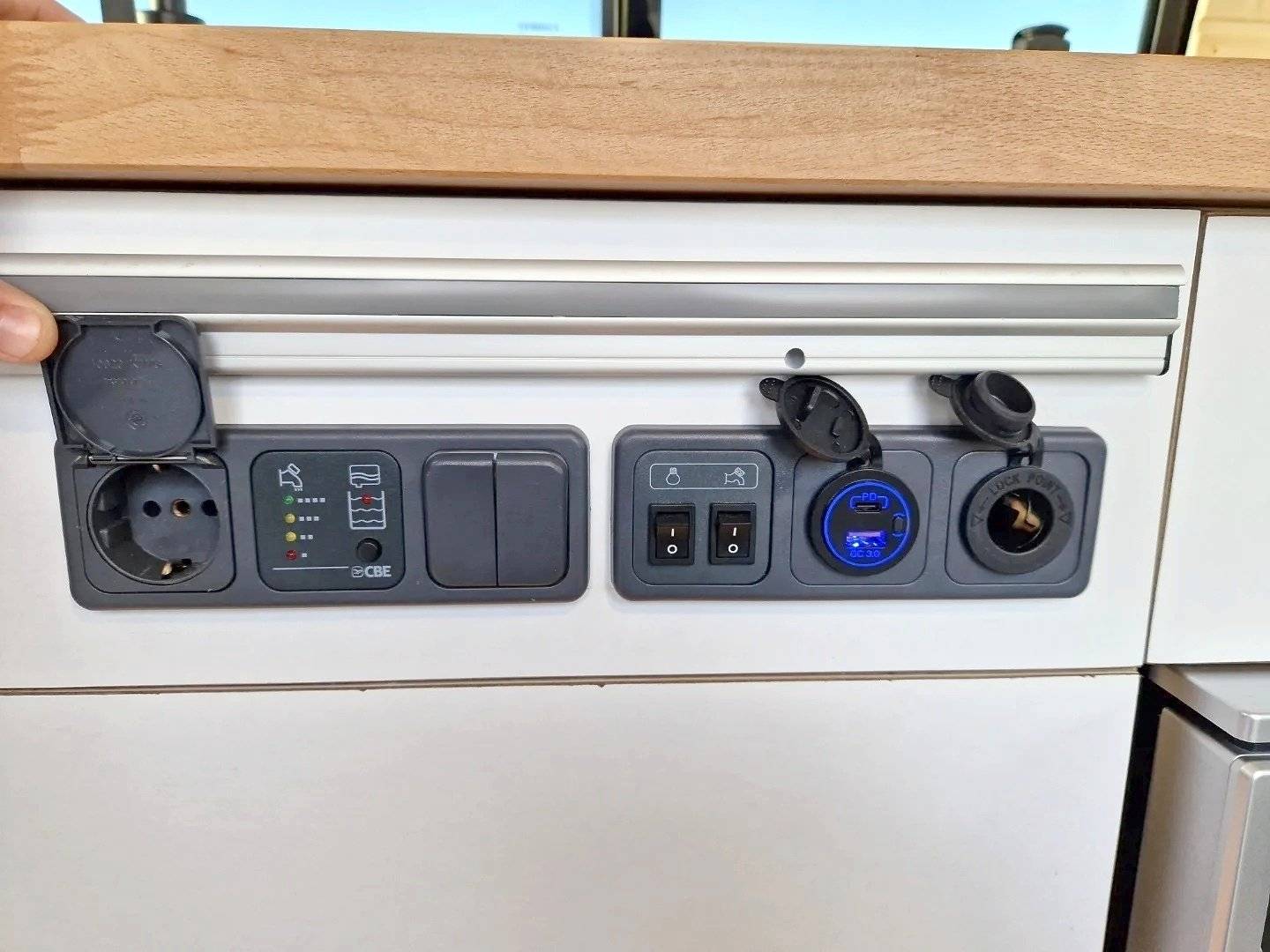 Caracol and friends Woody