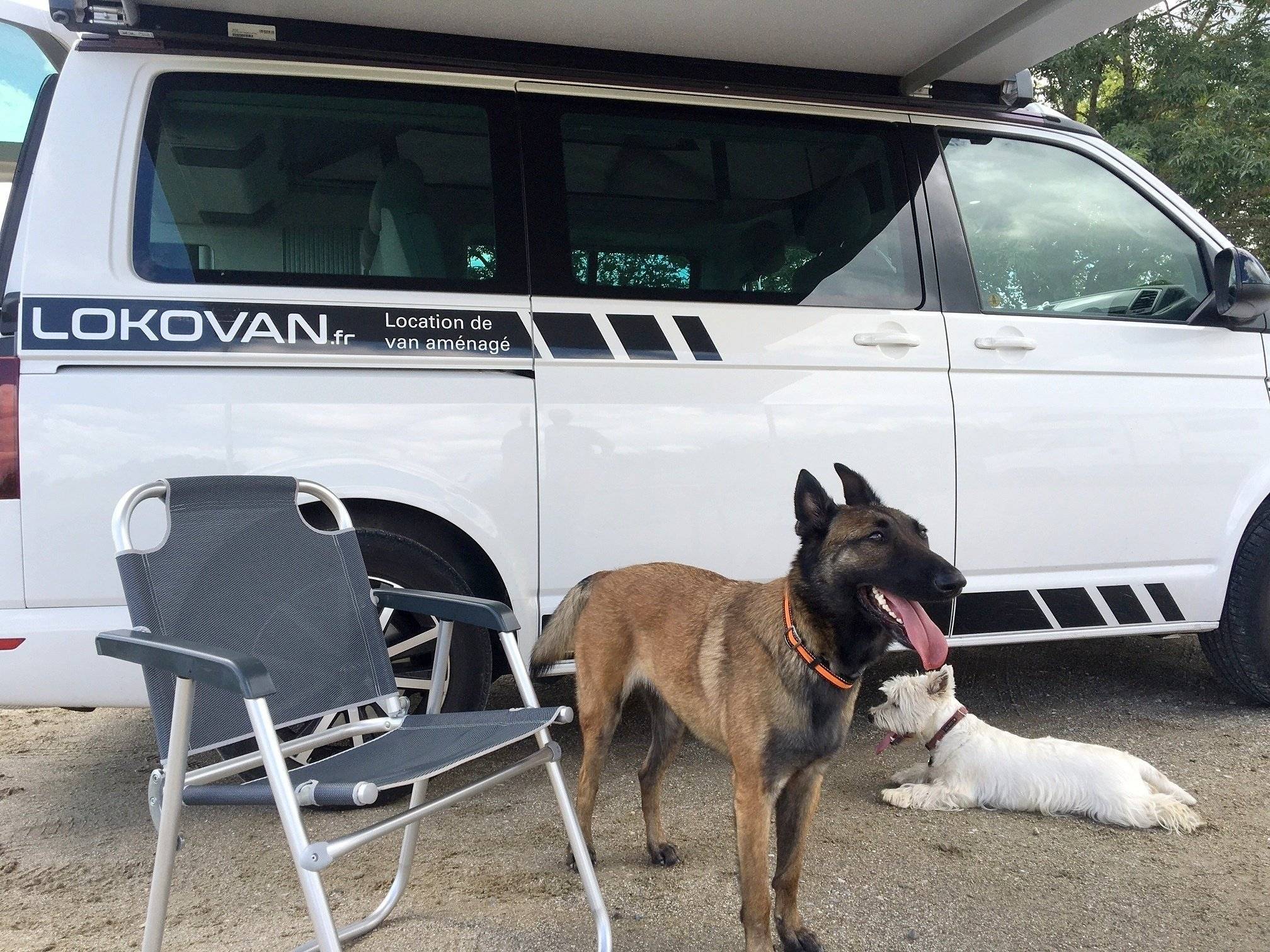 Volkswagen California T6 Coast Edition