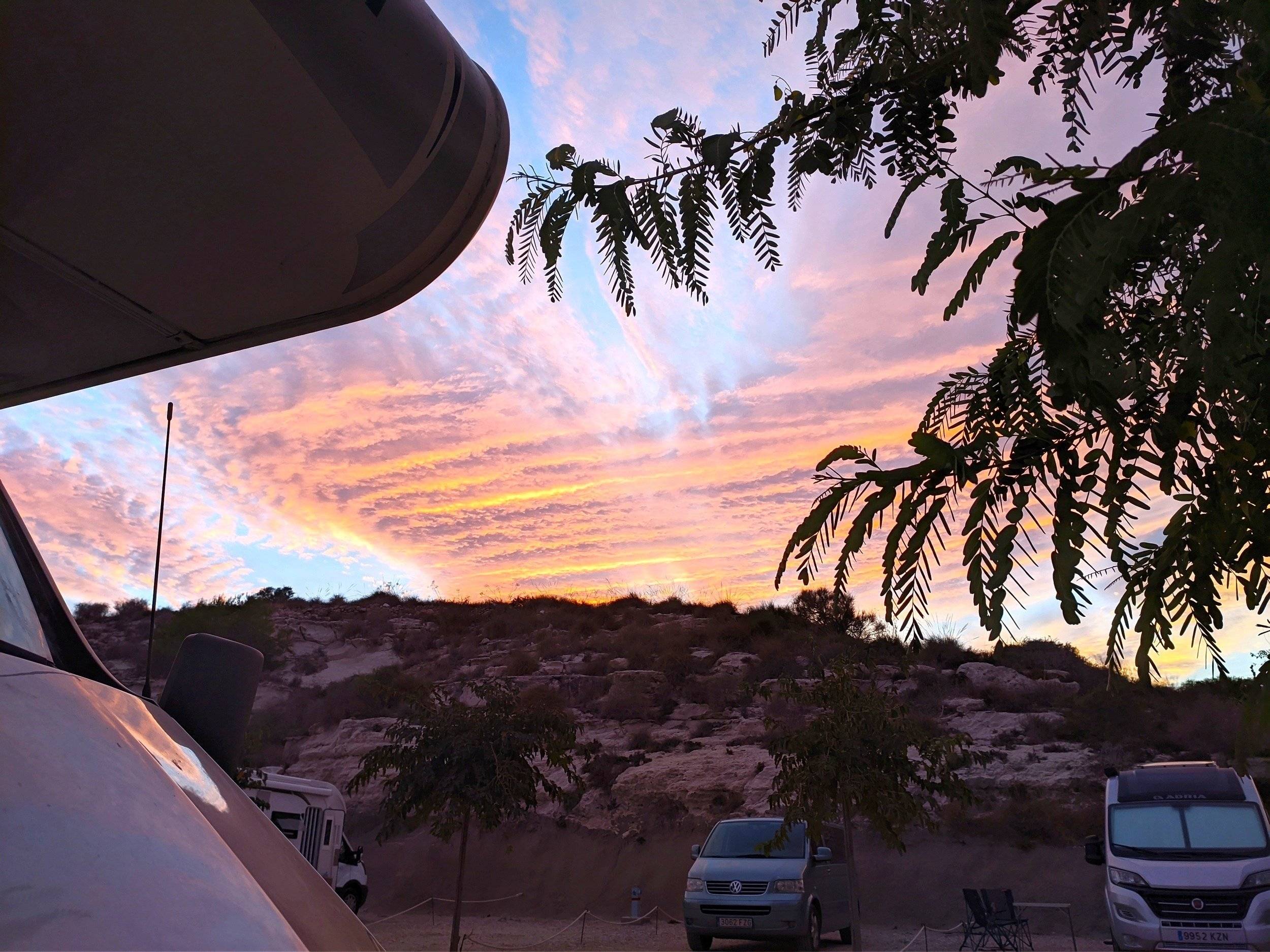 Challenger Genesis 31