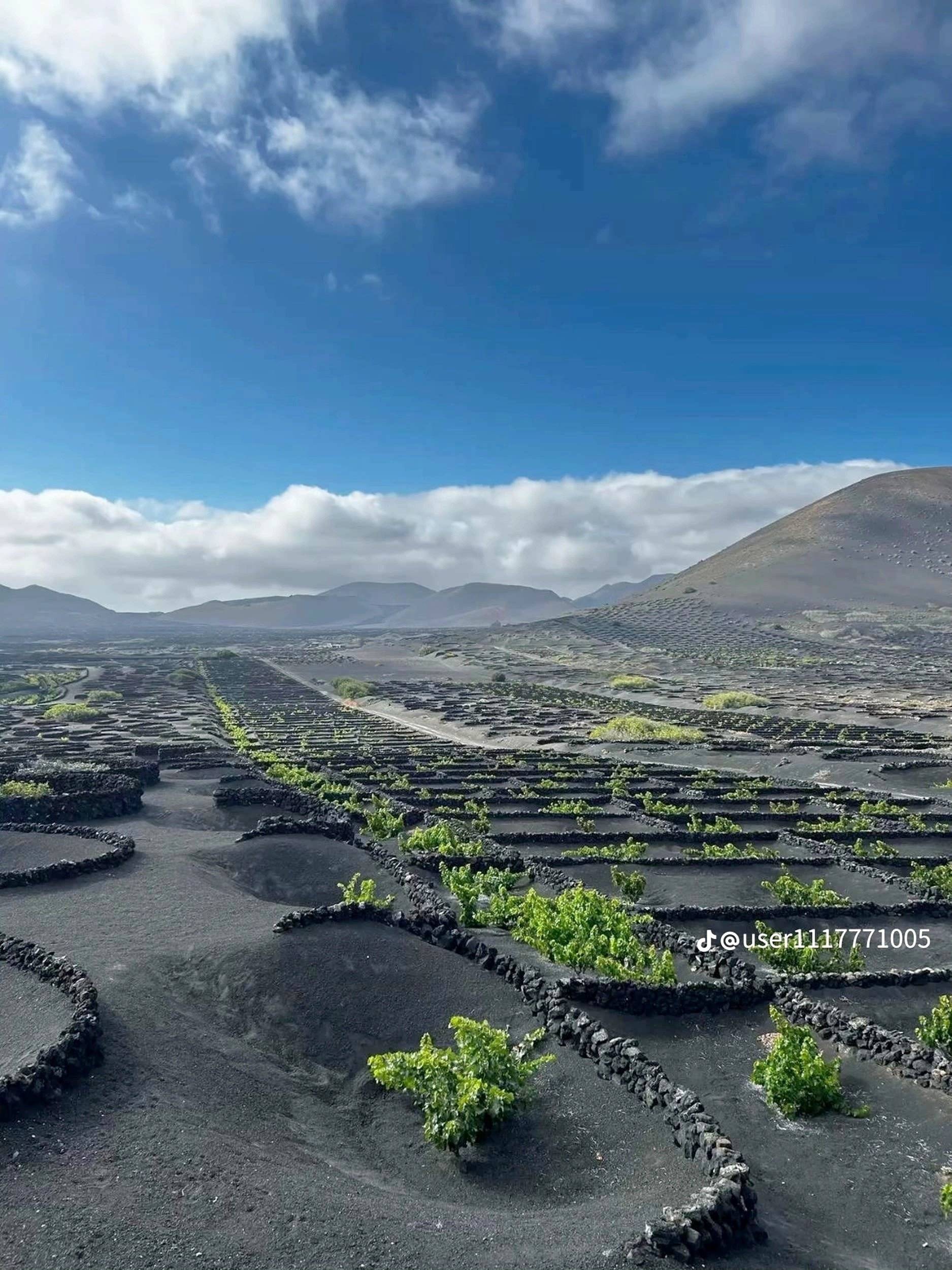 Alpes Camping-Car Vivaro 1,9 CDTI 100ch