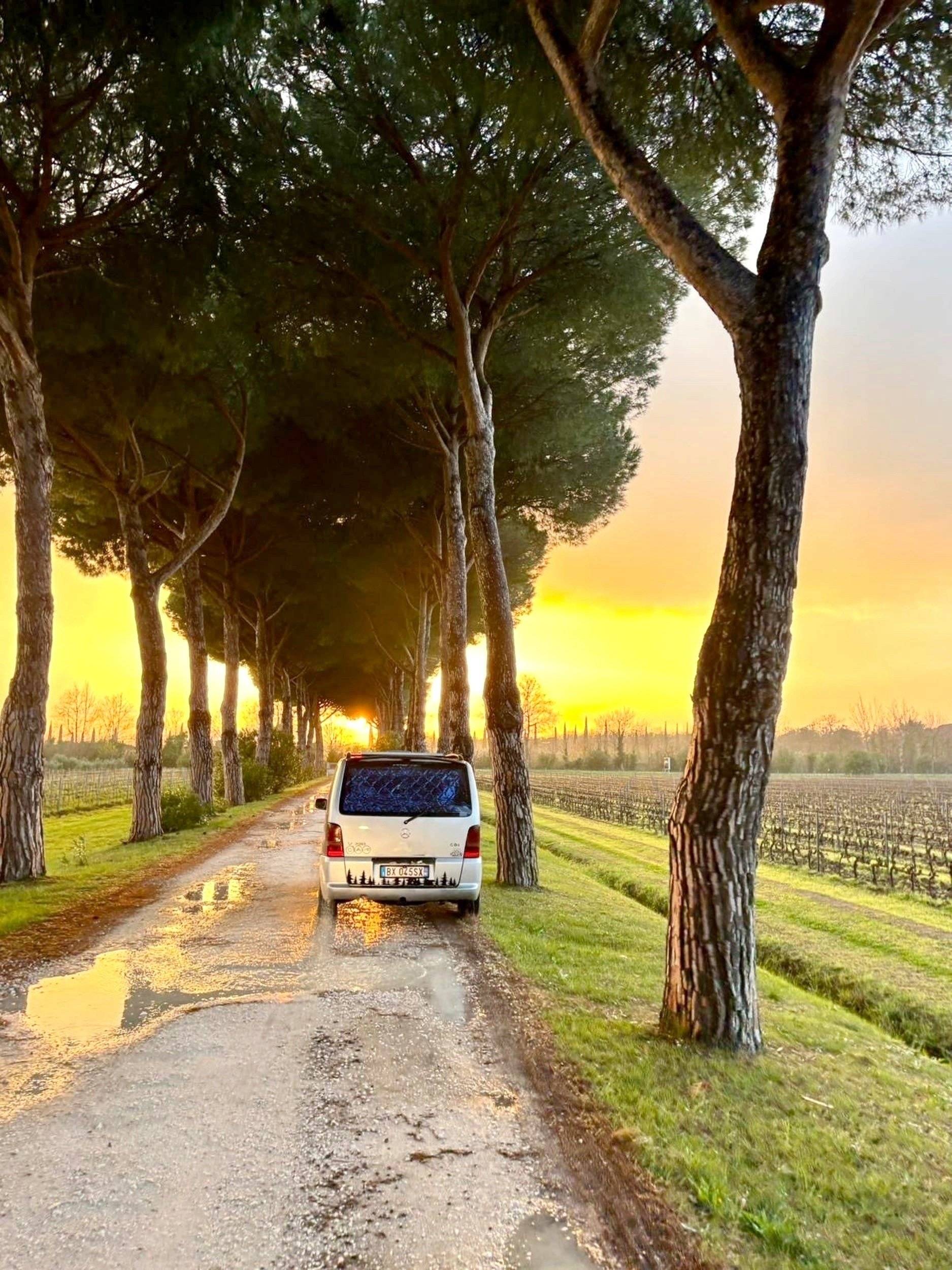 Vista del vehicle angle davanter Mercedes Mercedes vito - Yescapa