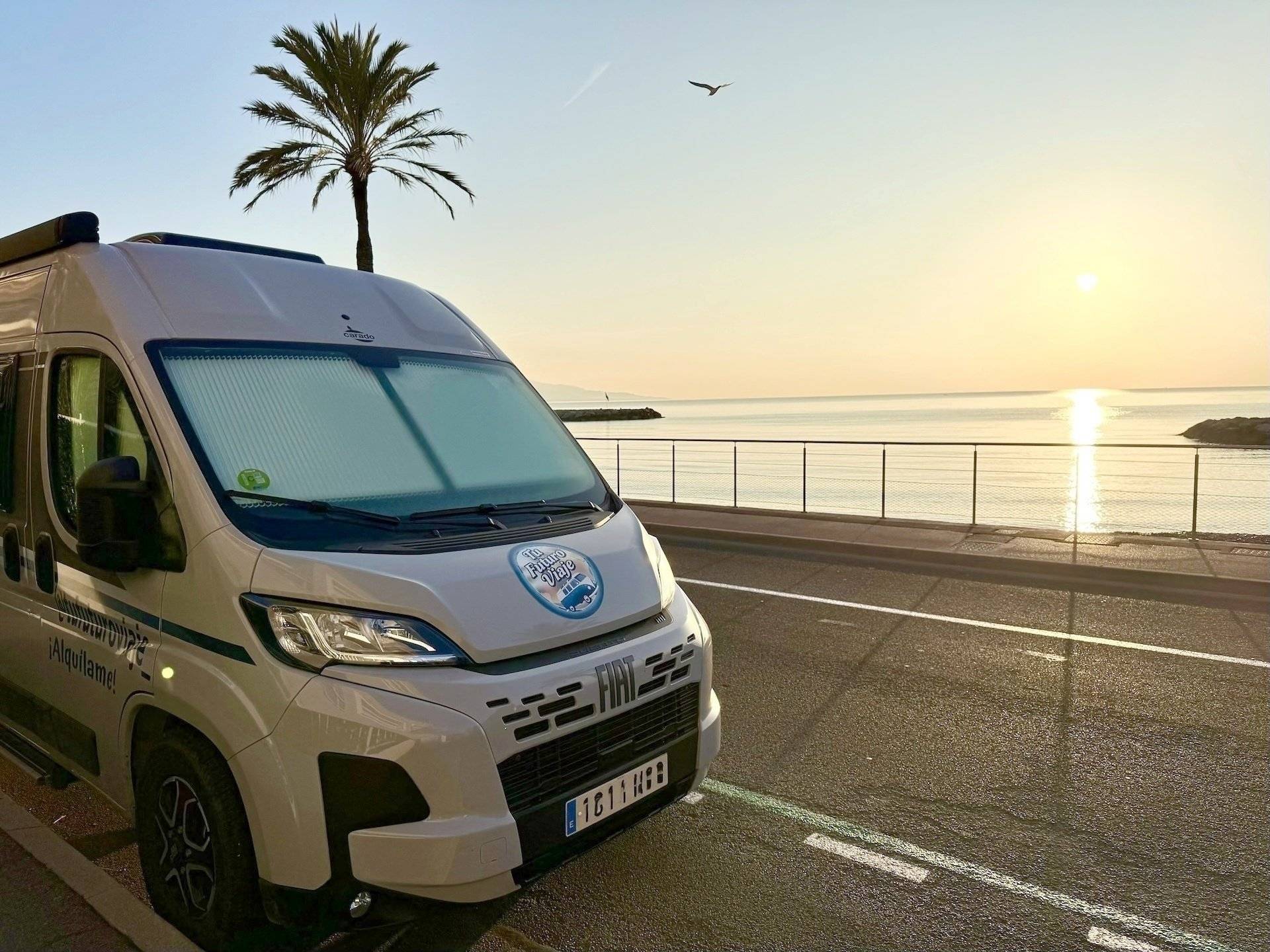 Carado CARADO CV 600 Pro