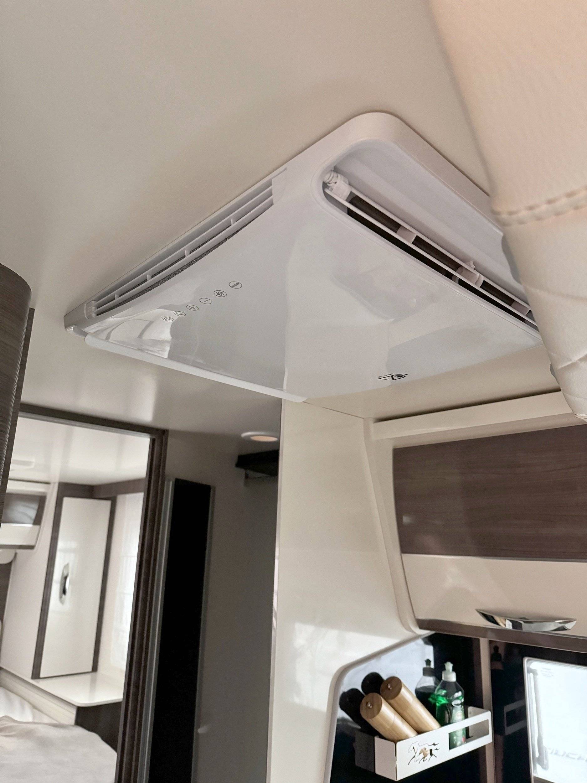 Mclouis Yearling 89G