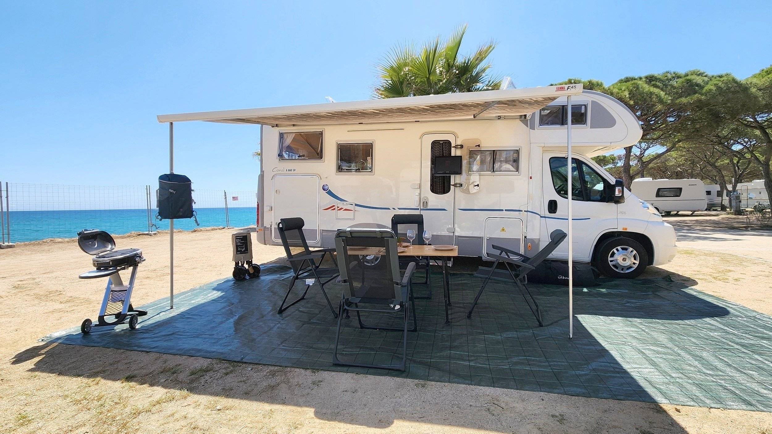 Adria Adria coral   sp660