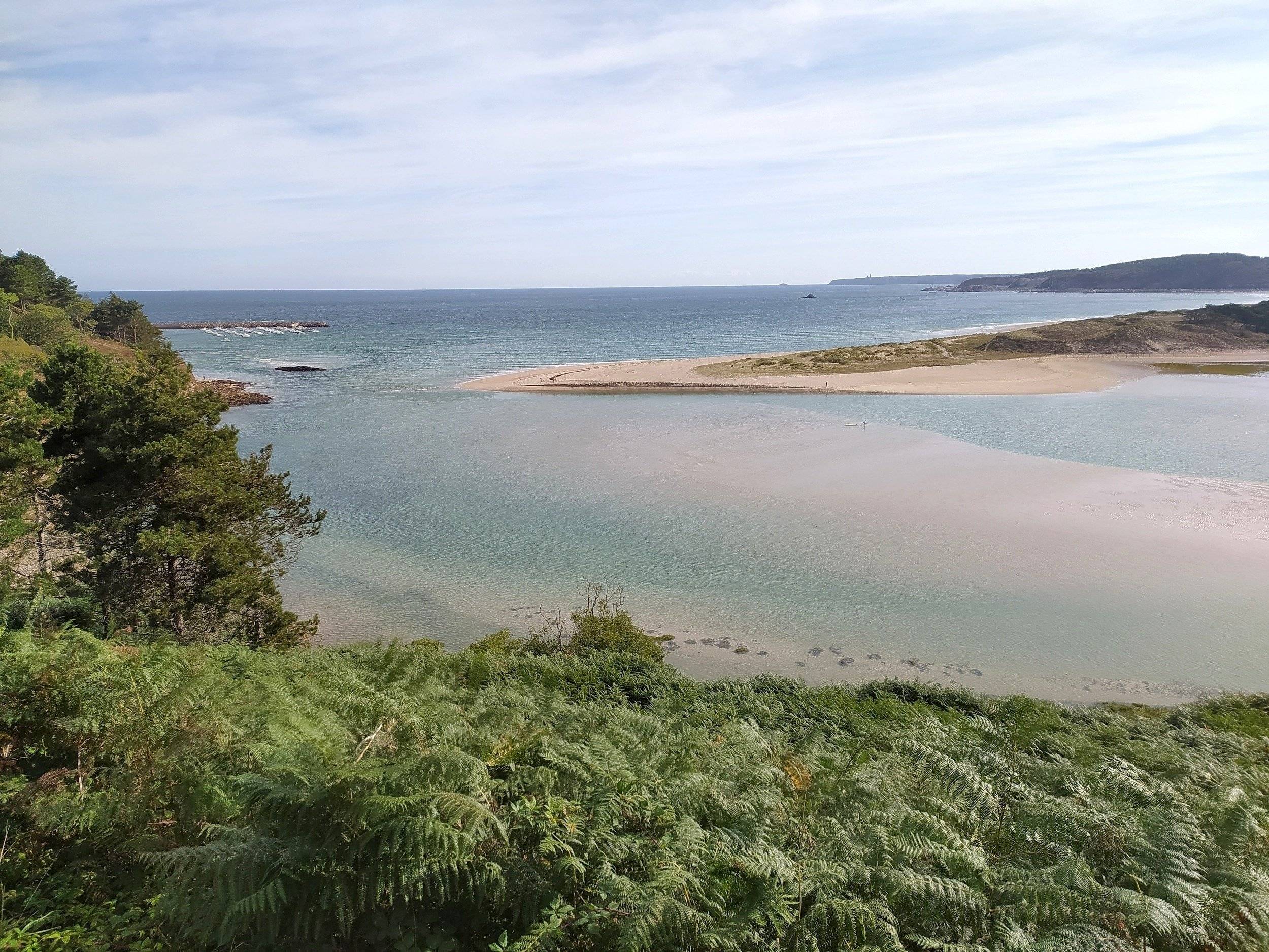 Mclouis MClouis Mc4 879