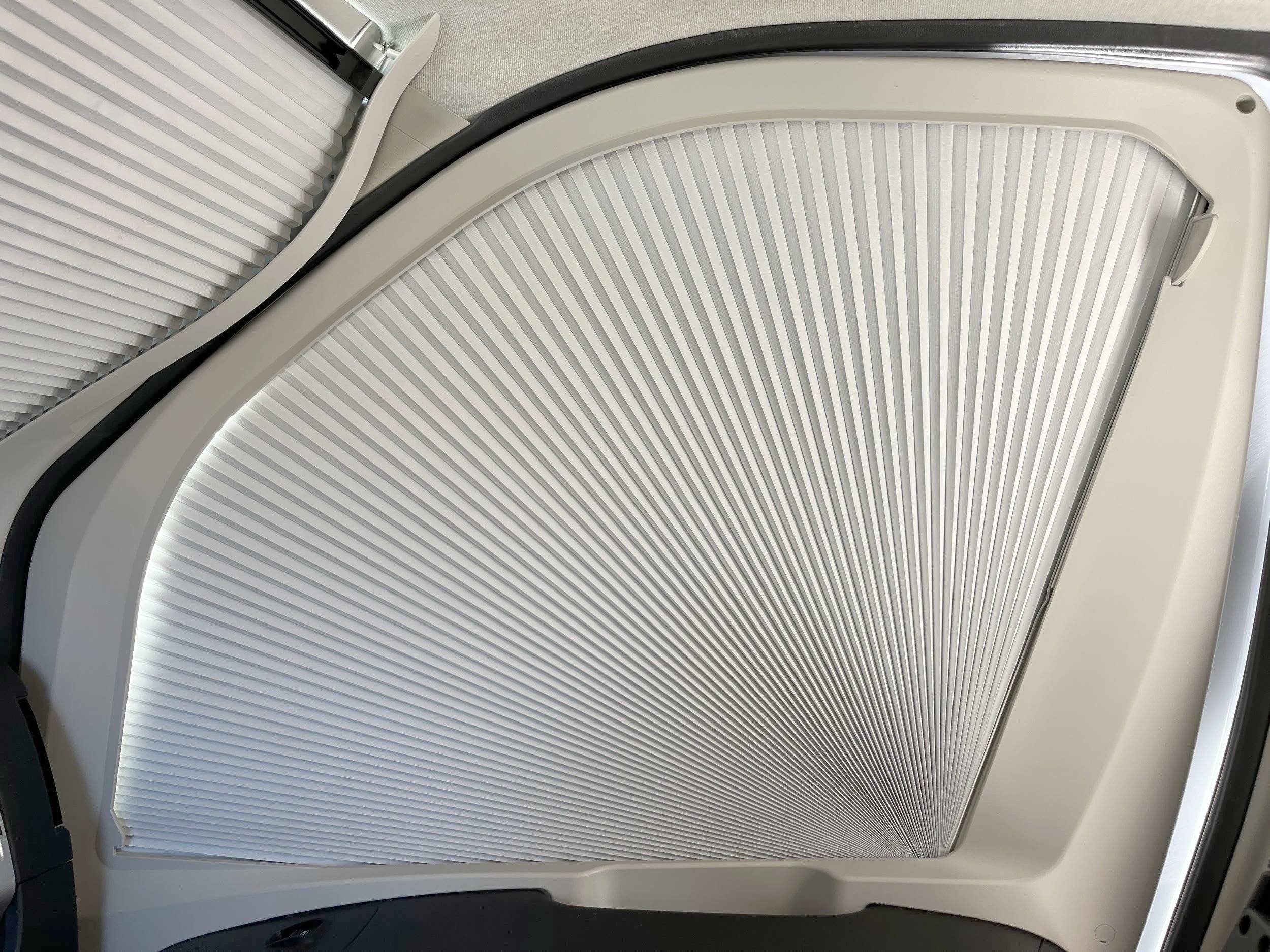 Giottiline Giottiline