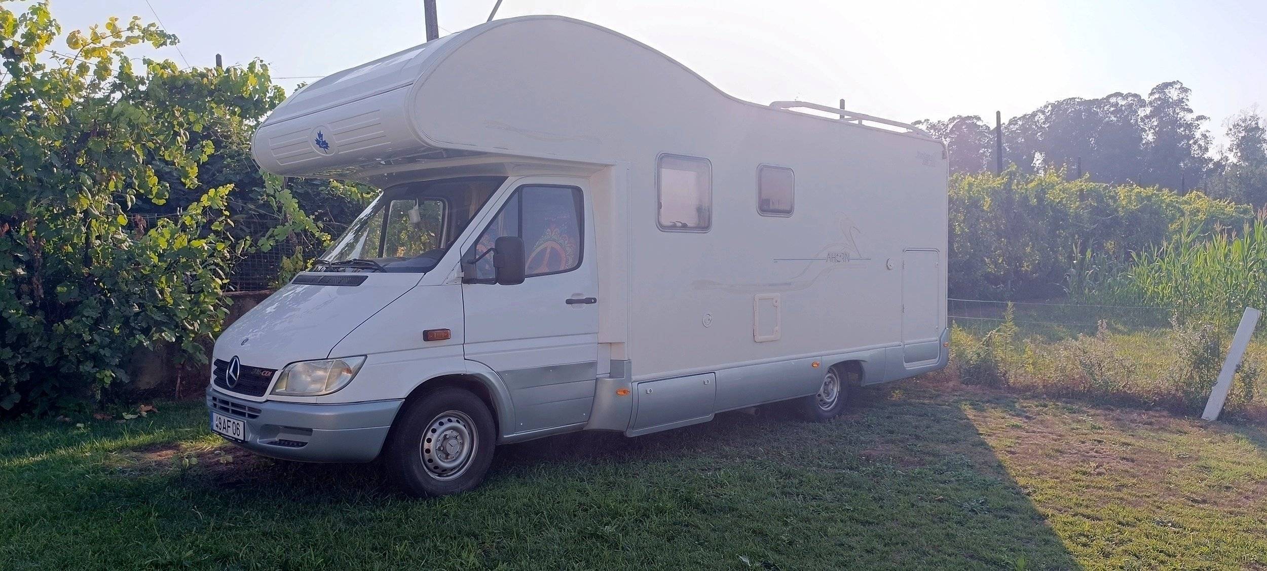Ahorn Camp 690