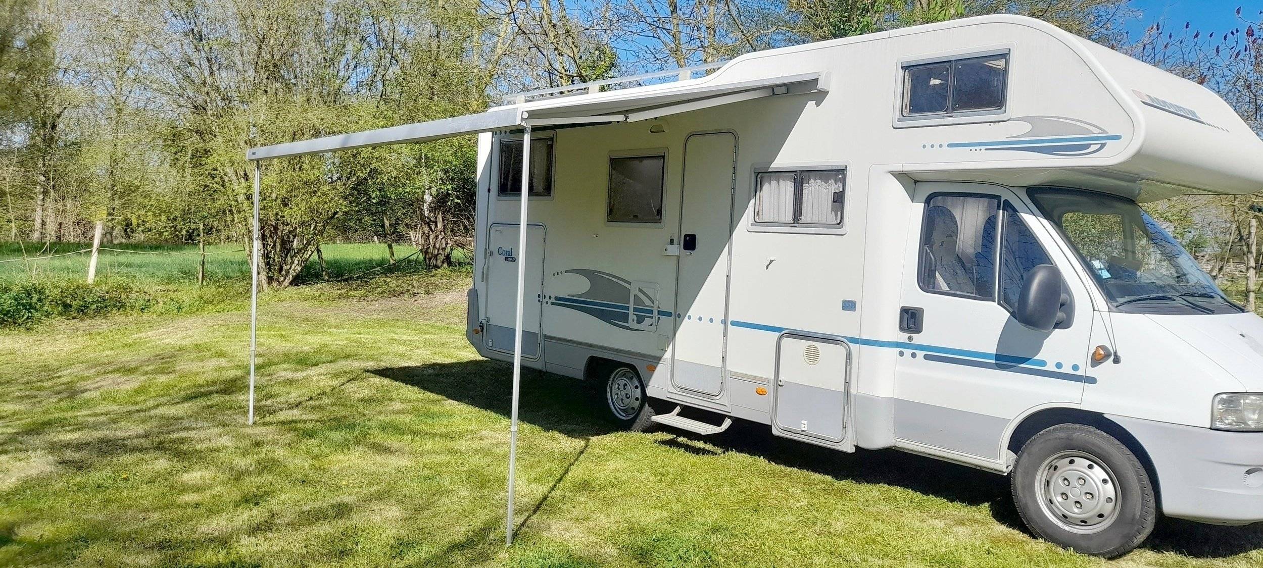 adria Adria coral   sp660