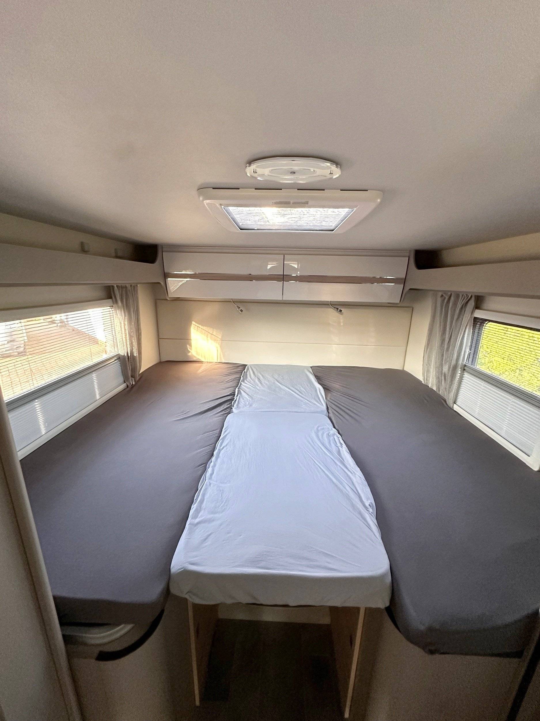 Ahorn Canada AE 2023