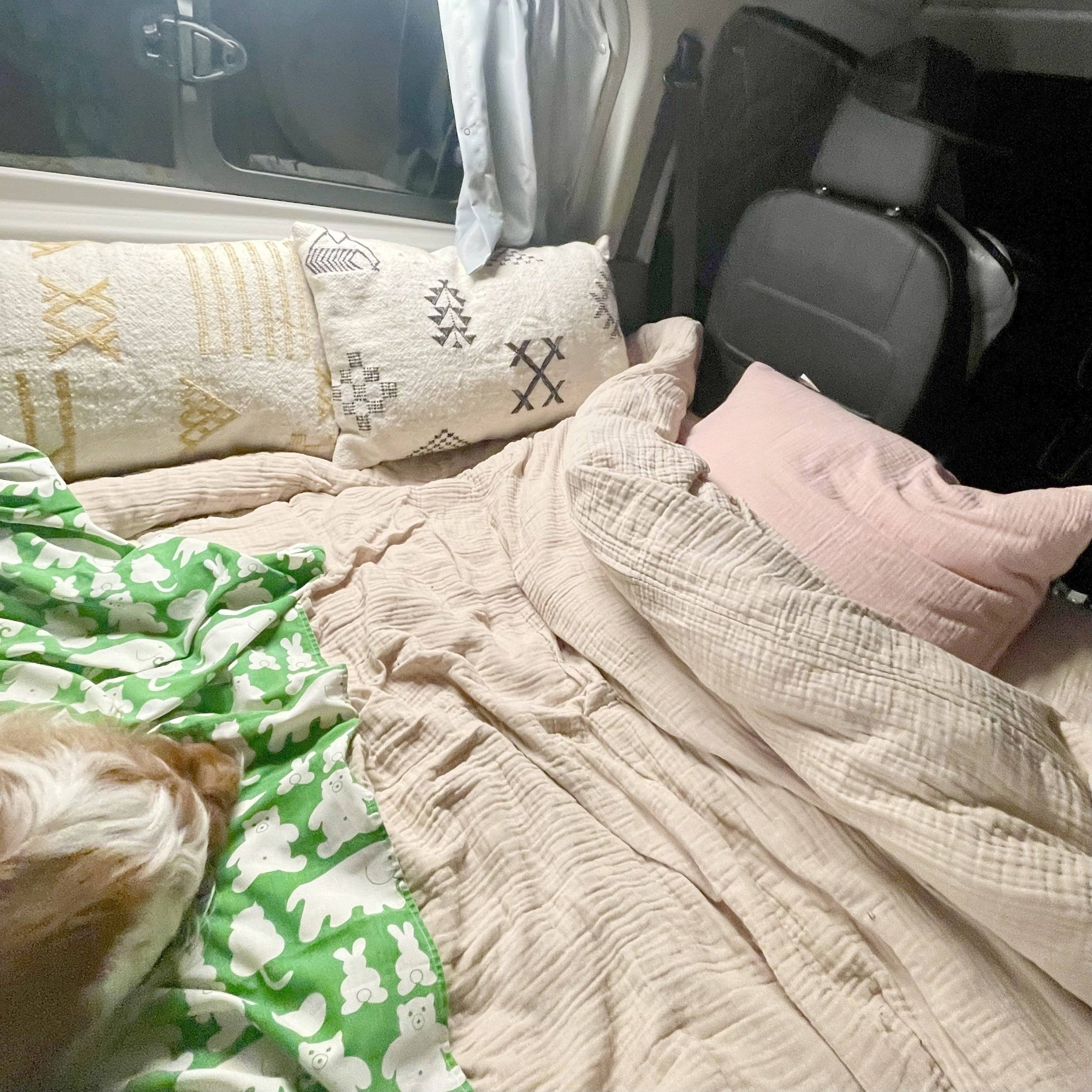 Westfalia Nugget westfalia