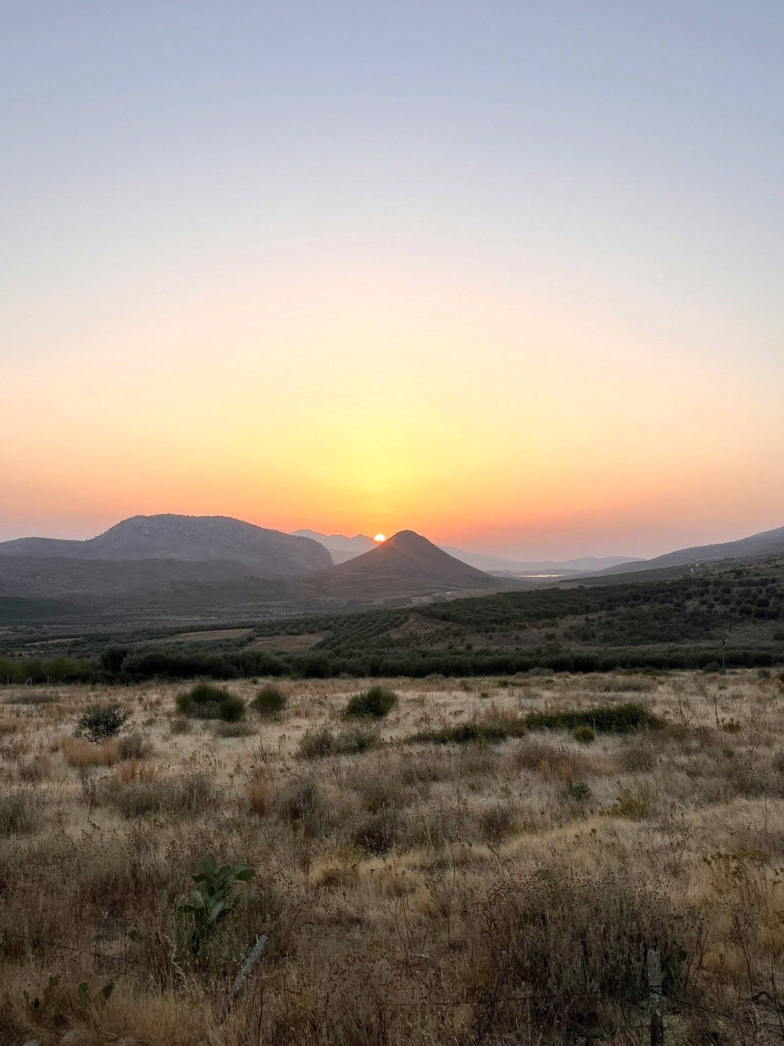 Aucun 