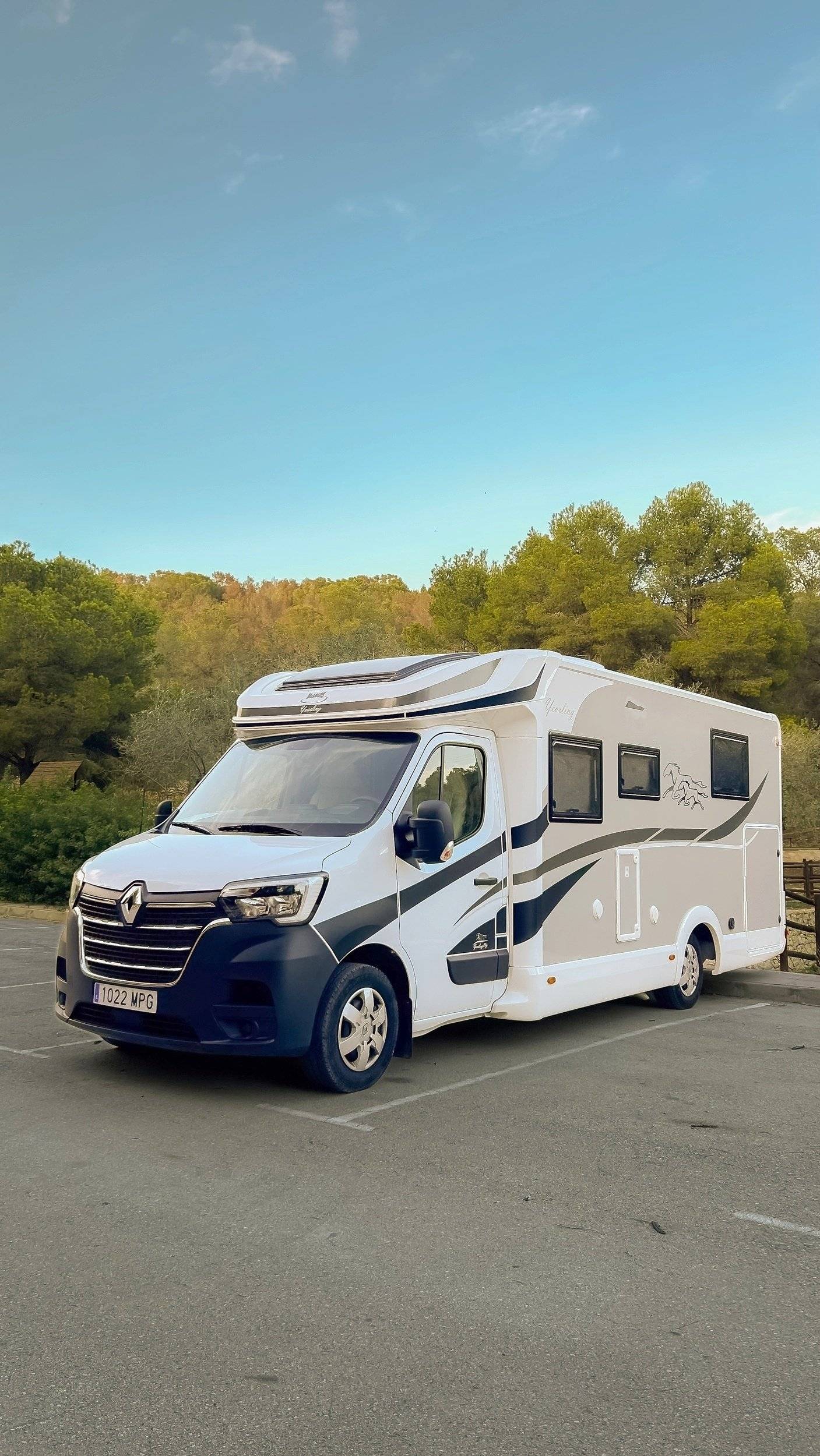 Mclouis Yearling 89G