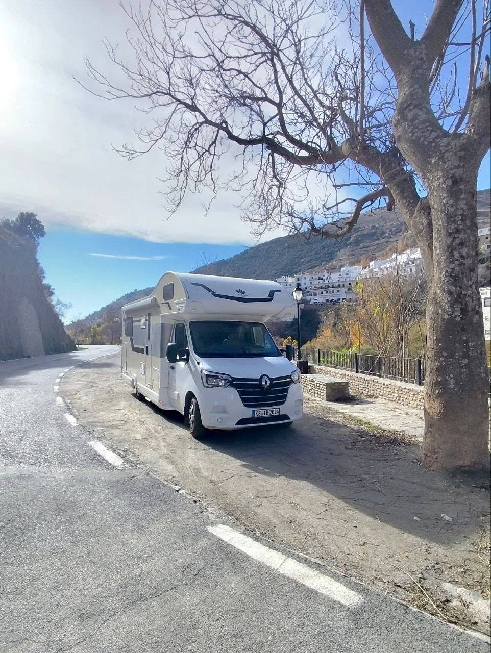 Ahorn Ahorn Canada AE