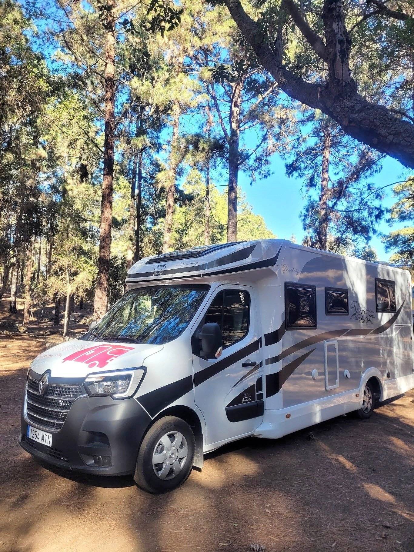 Mclouis Mclouis Yearling 89