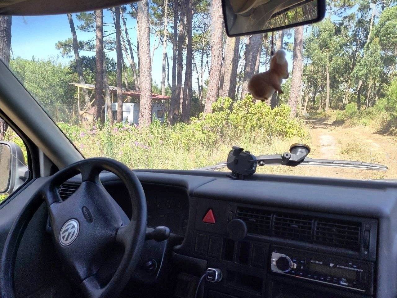 Rapido Volkswagen T4 