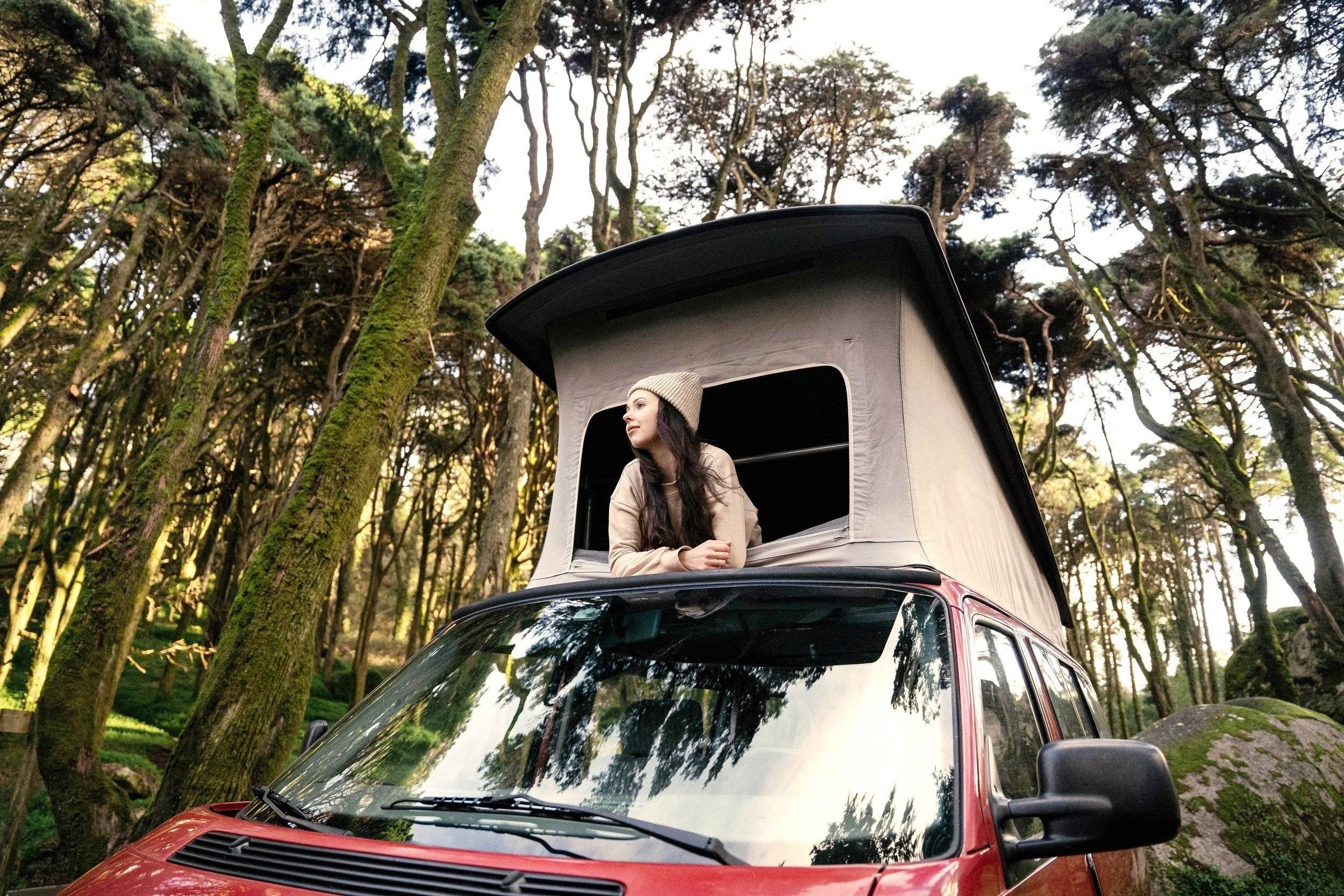 Westfalia California t4 westfalia