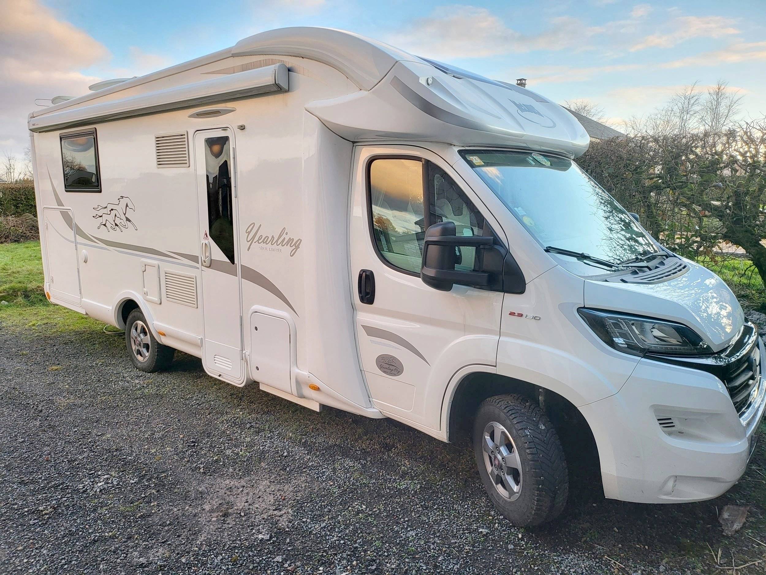 Mclouis Yearling 89G