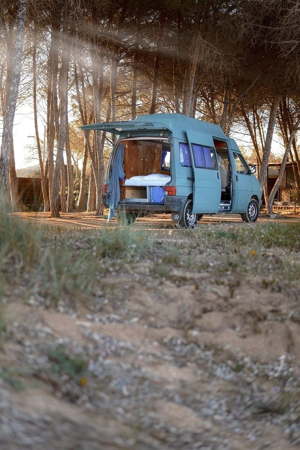 AMBUVAN T4 transporter