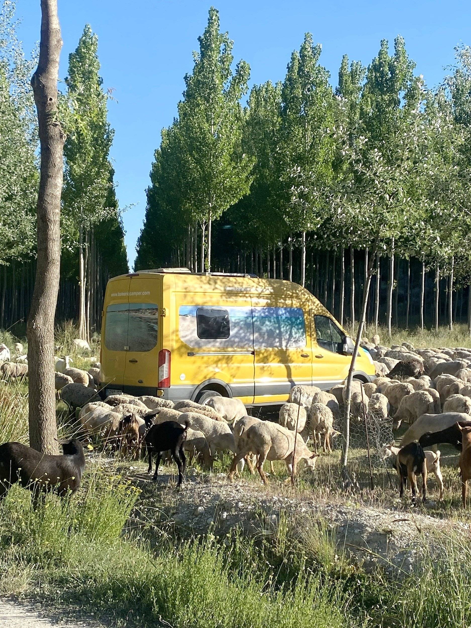 Custo Van Transit 2,2l TDCi 140 ch.