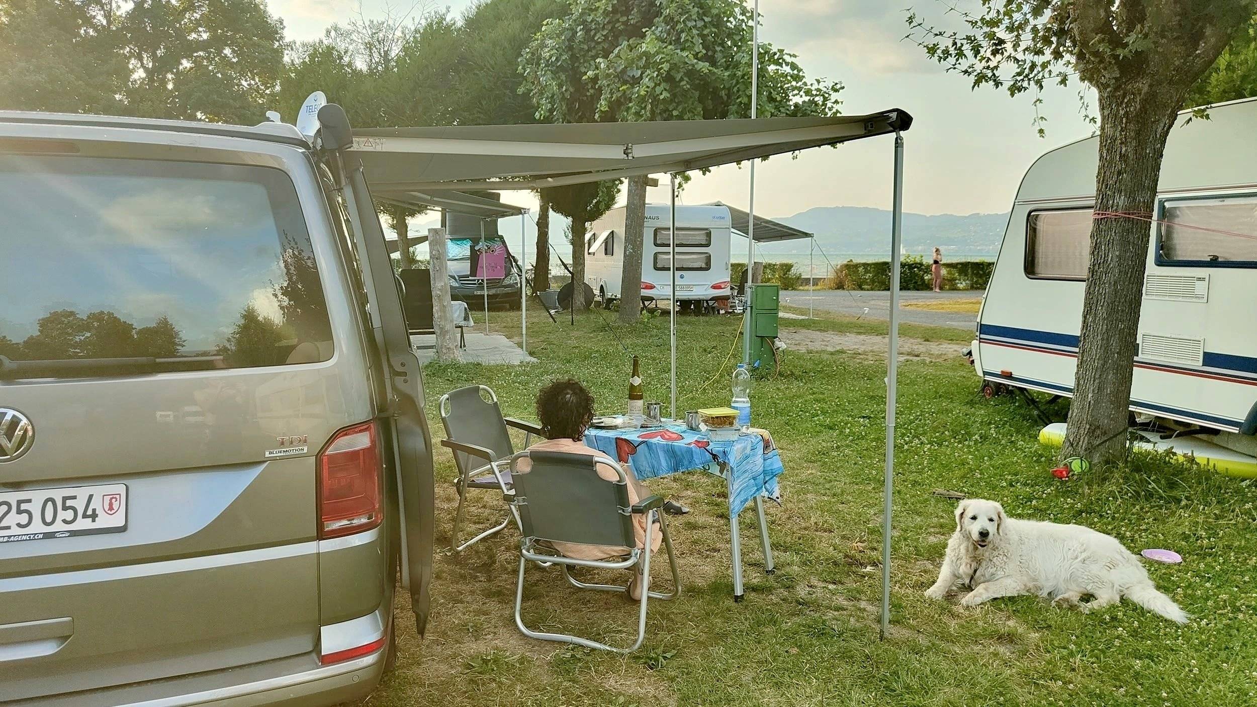 Volkswagen California t6 ocean 204 cv