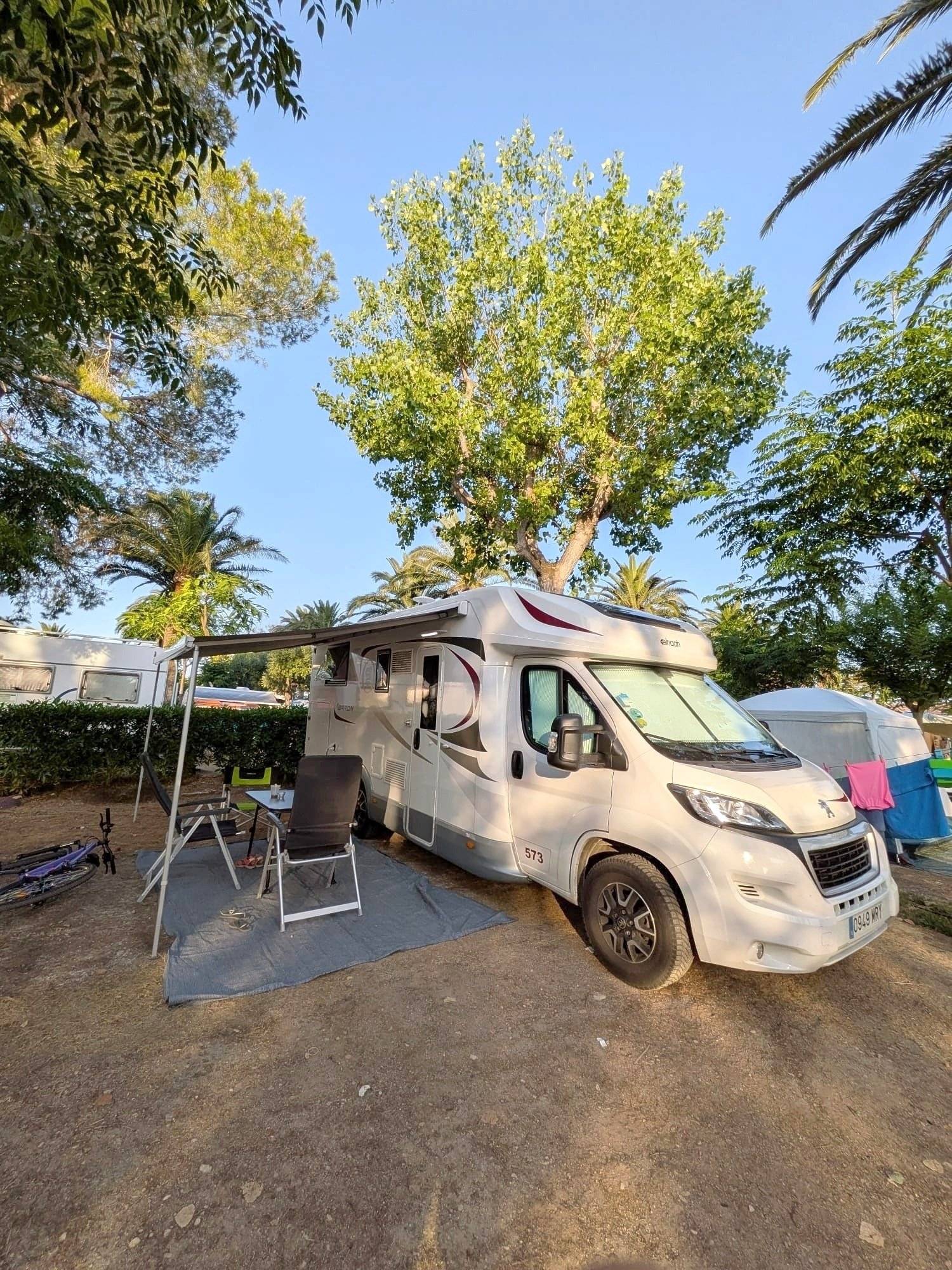 Elnagh Baron 573