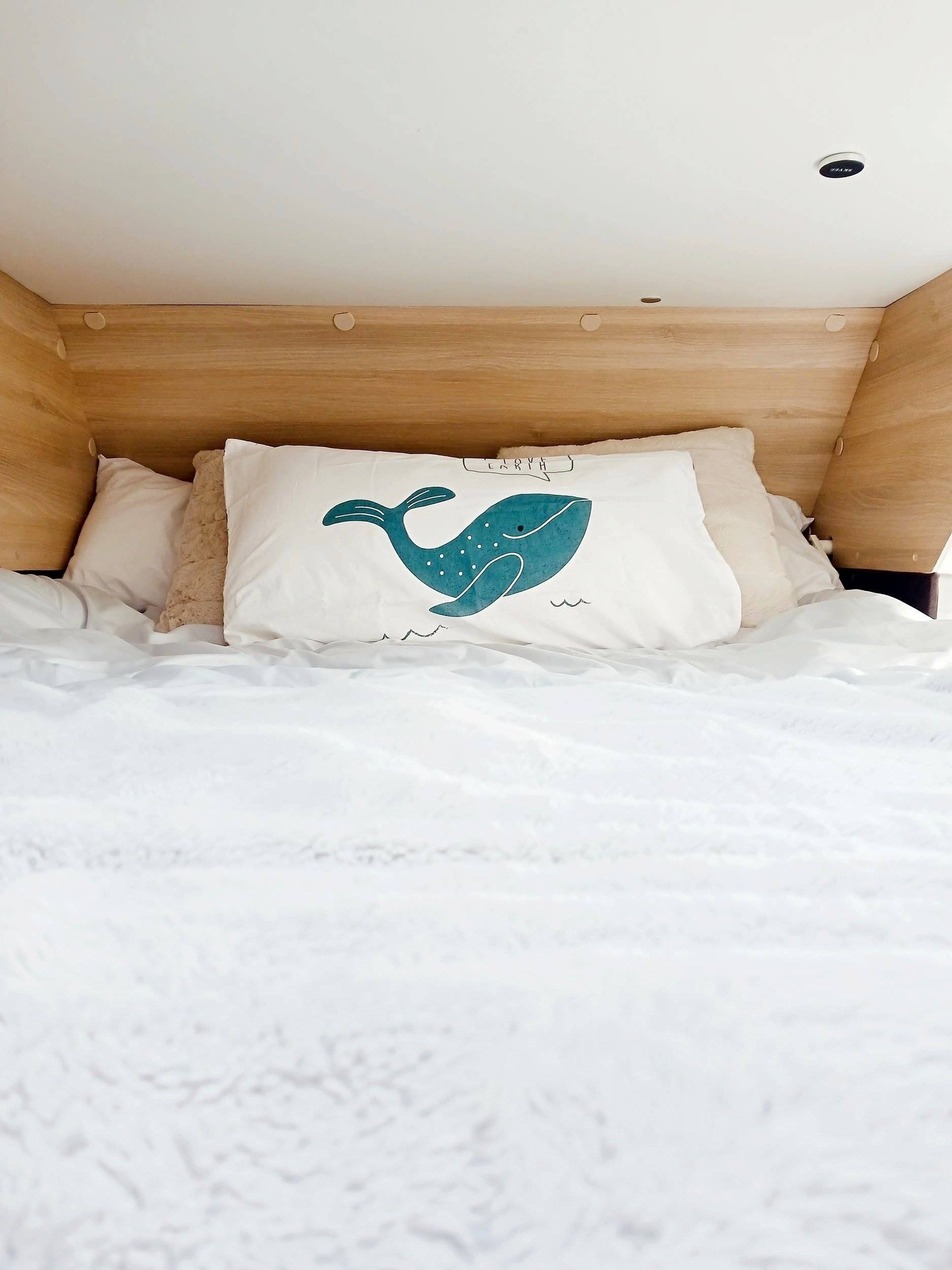 Dreamer Dreamer Family Van