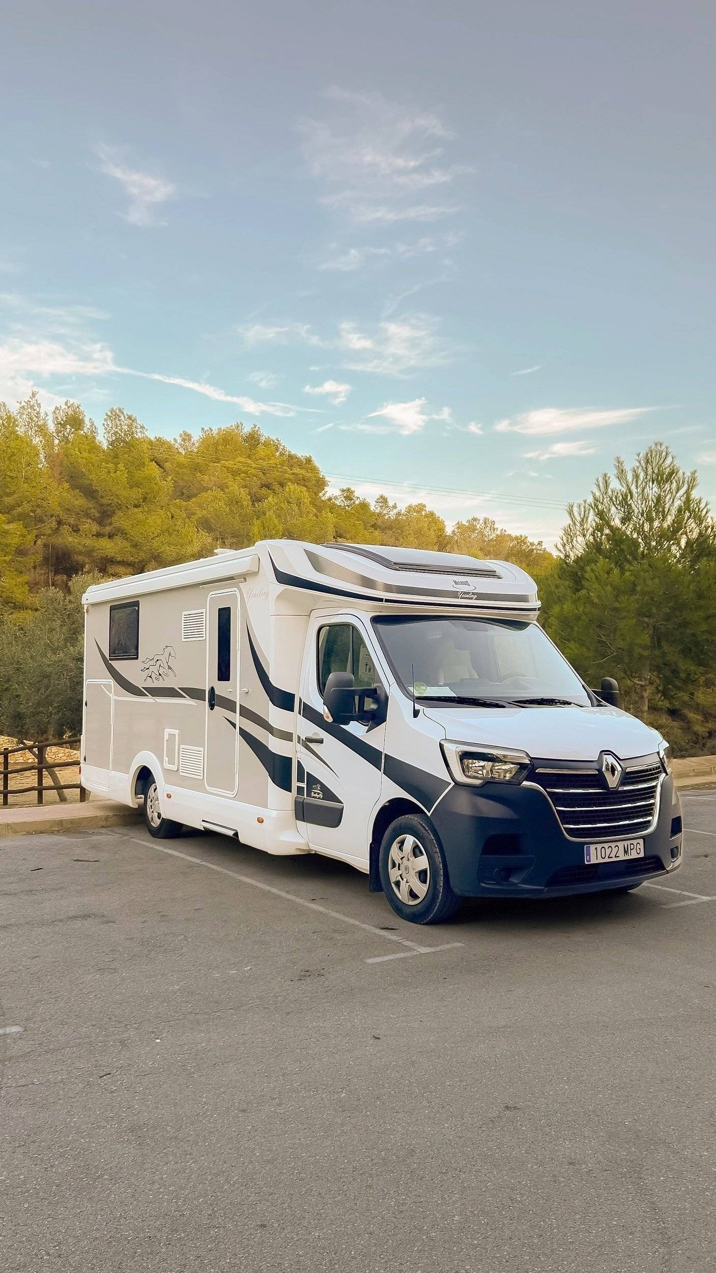 Mclouis Yearling 89G