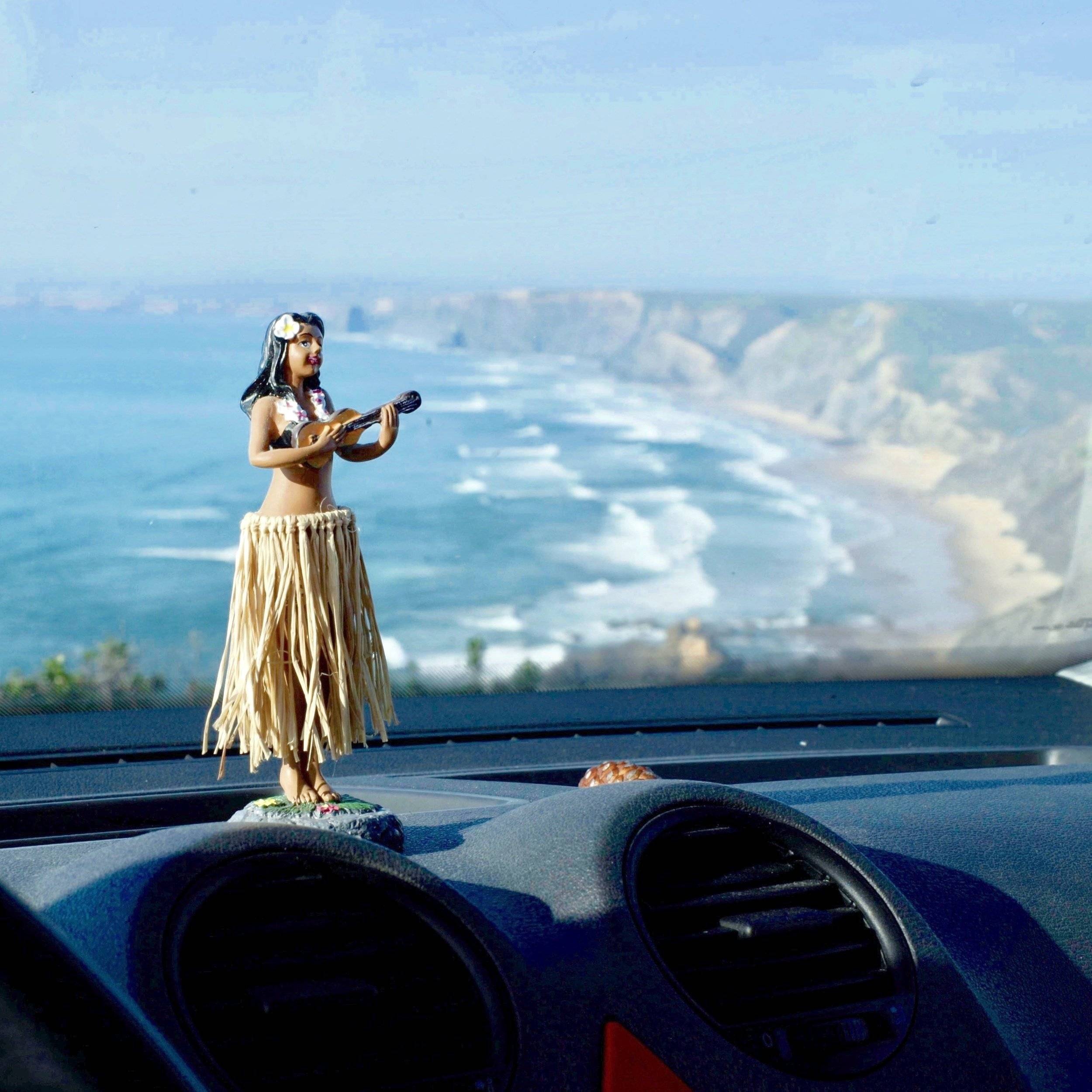 Volkswagen Caddy Maxi 2 l 105 ch