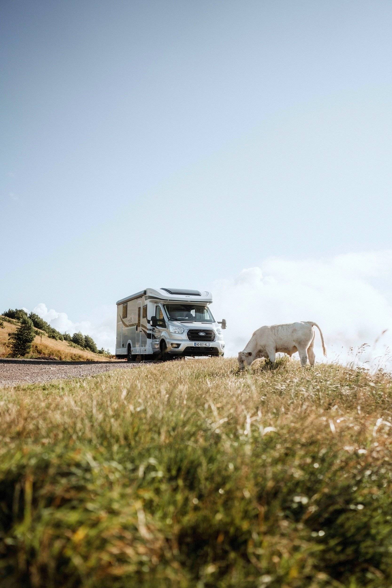 Mclouis Transit 2,0 l 170 ch