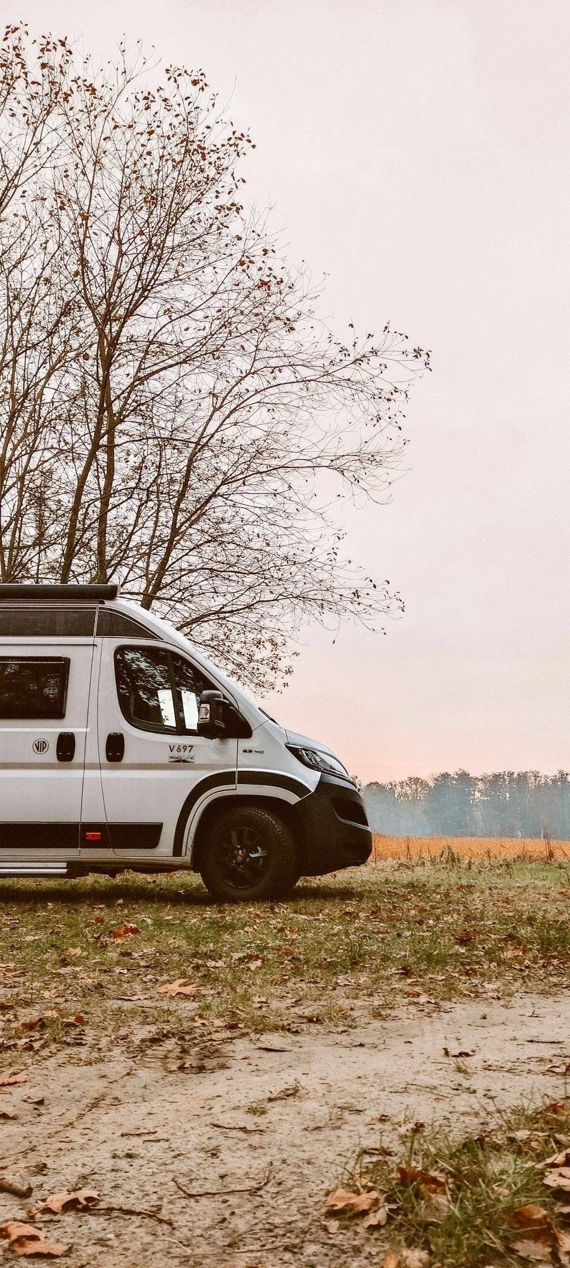 Chausson 