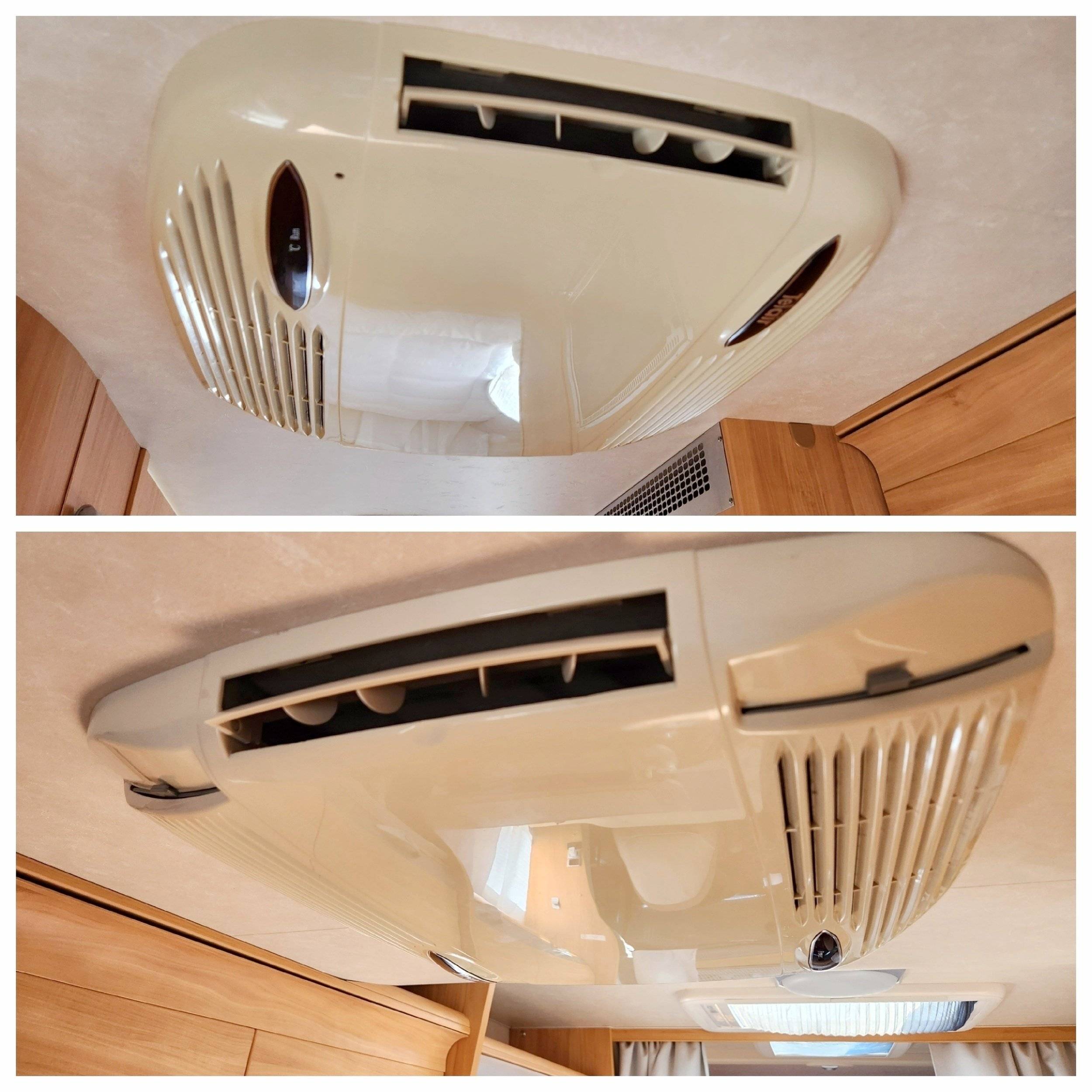 Adria Adria coral   sp660