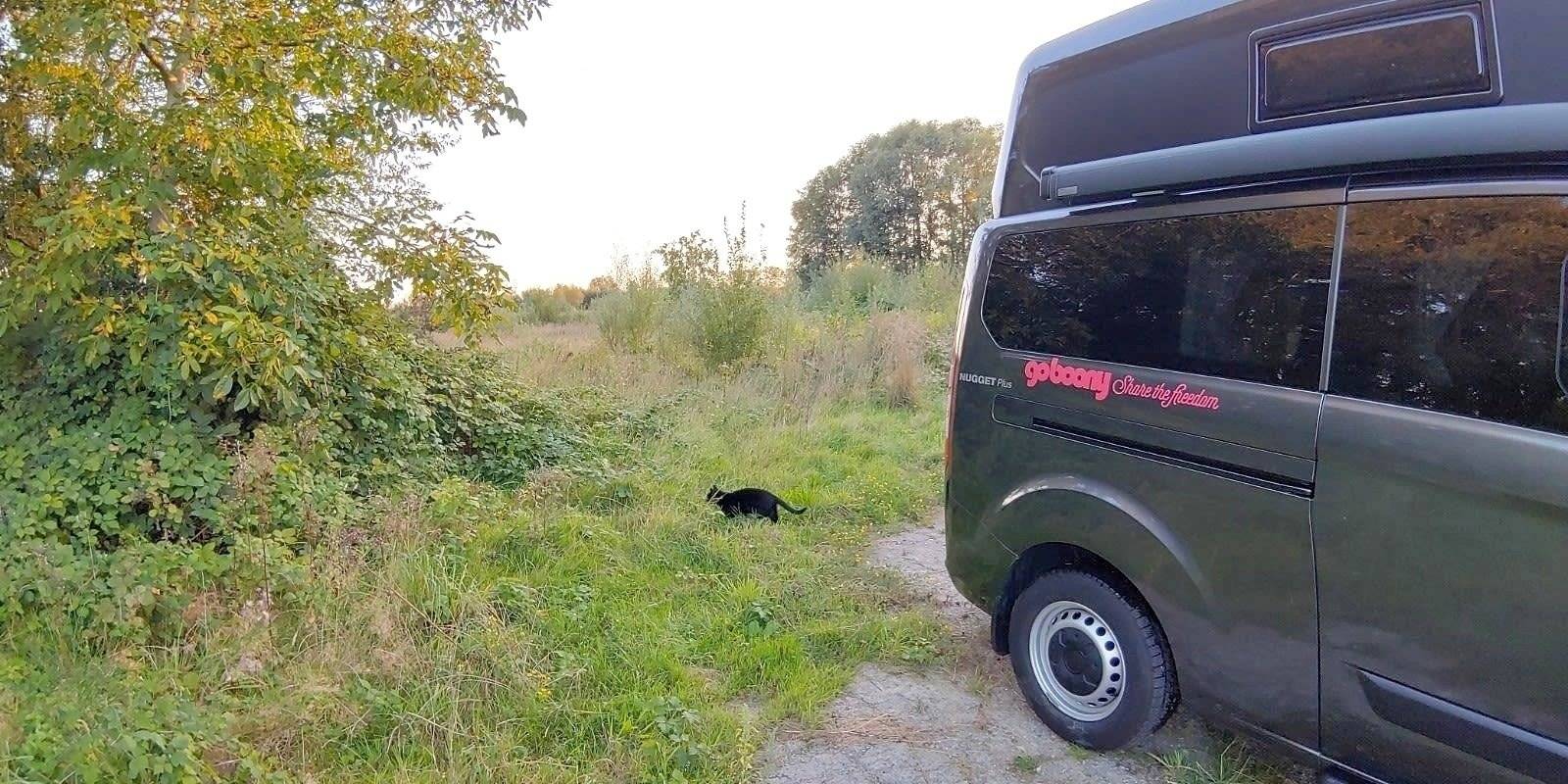Westfalia 