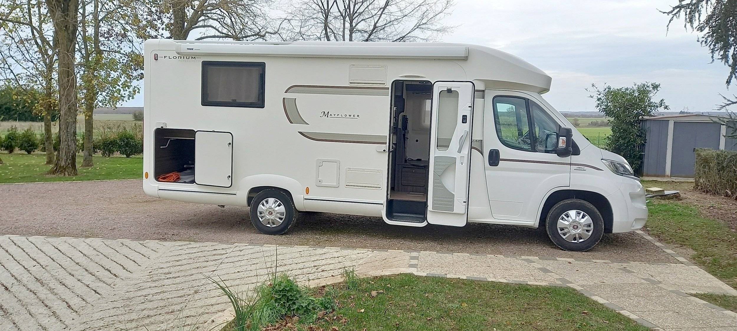 Florium florium    70 lmx