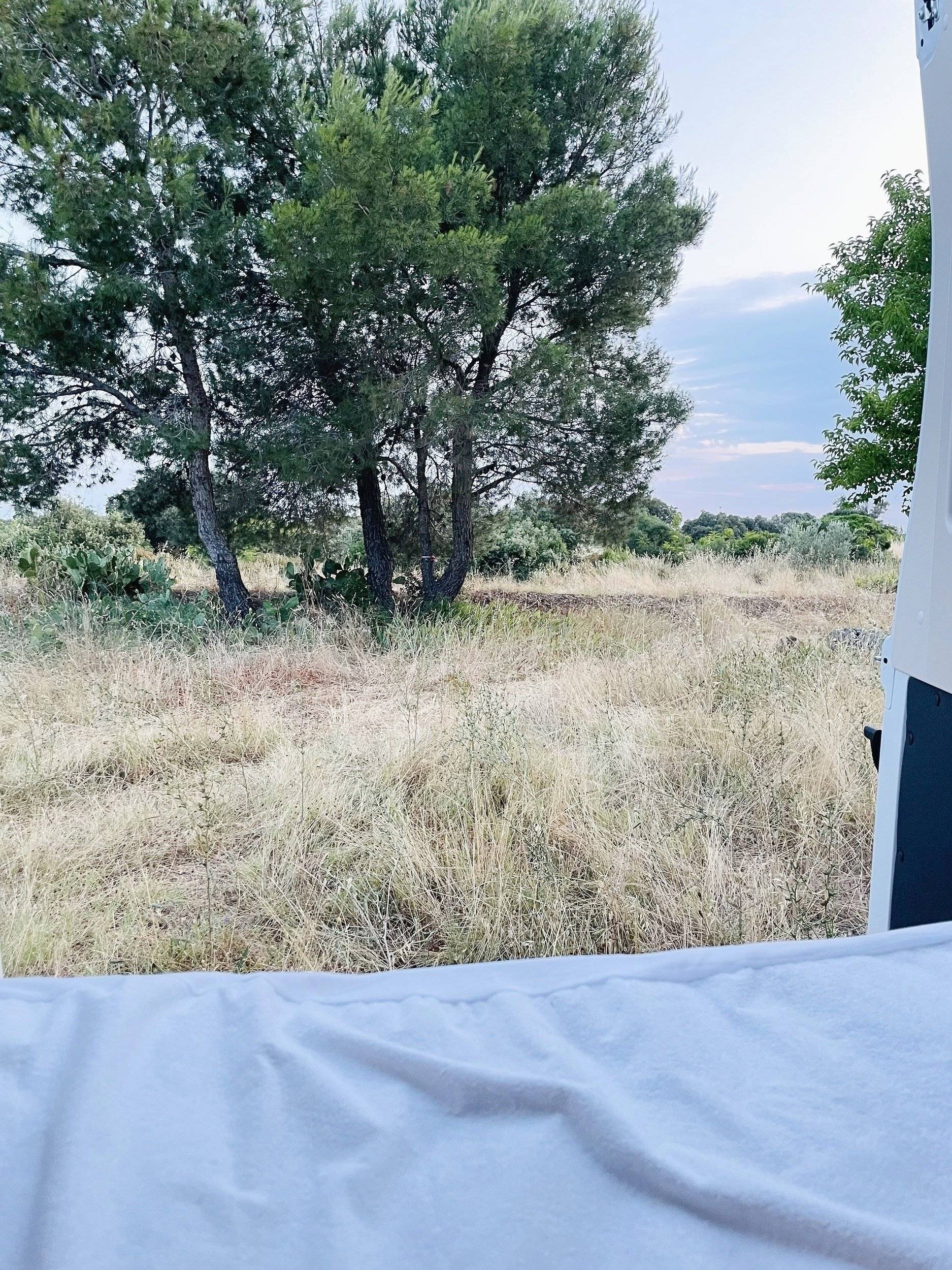 Mclouis 3 Maxi S-Line