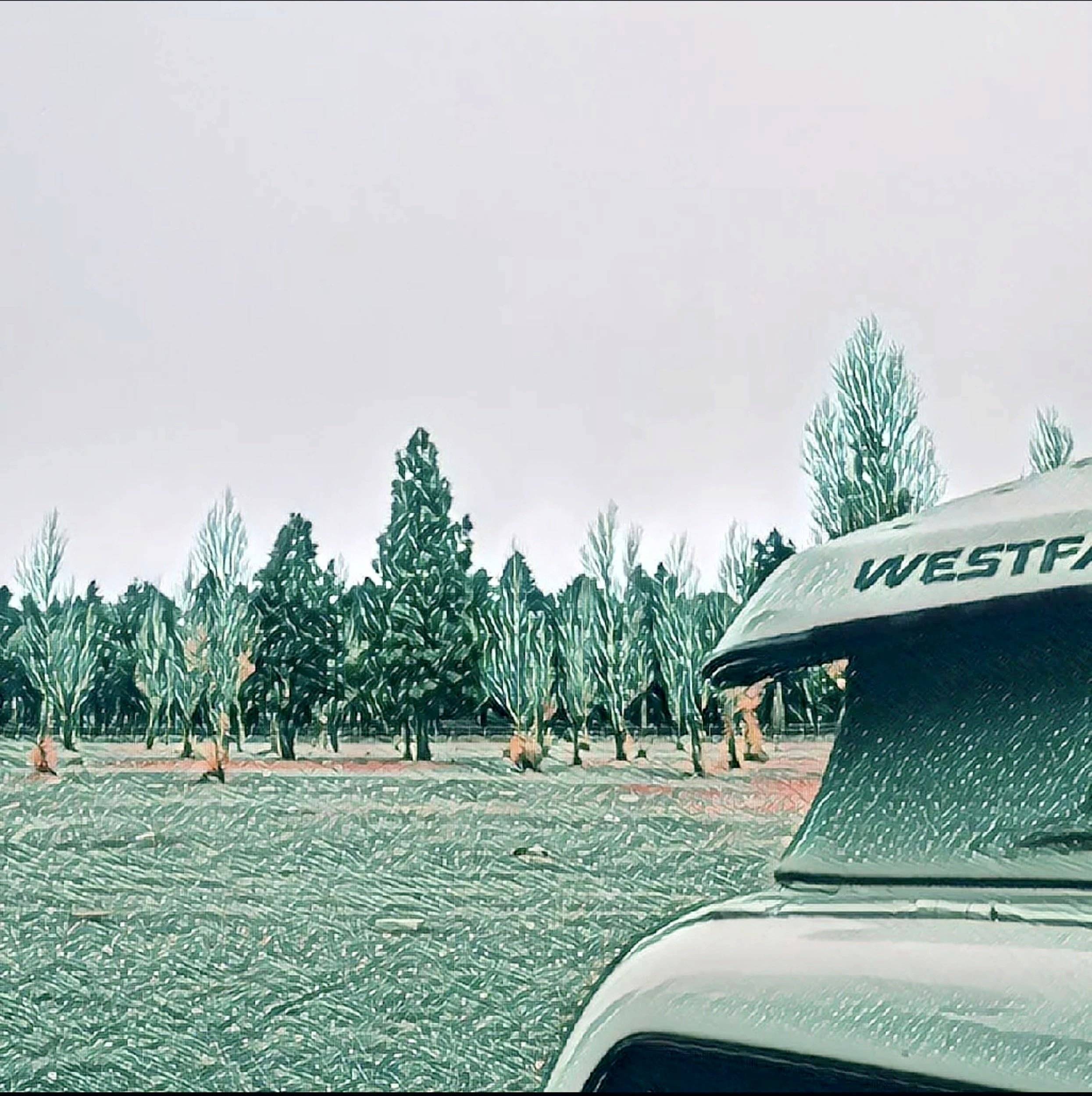 Volkswagen California Beach