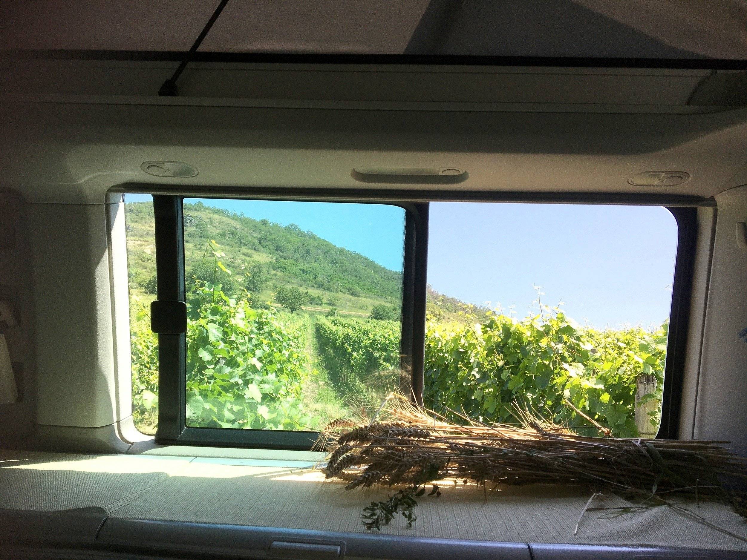 Volkswagen california