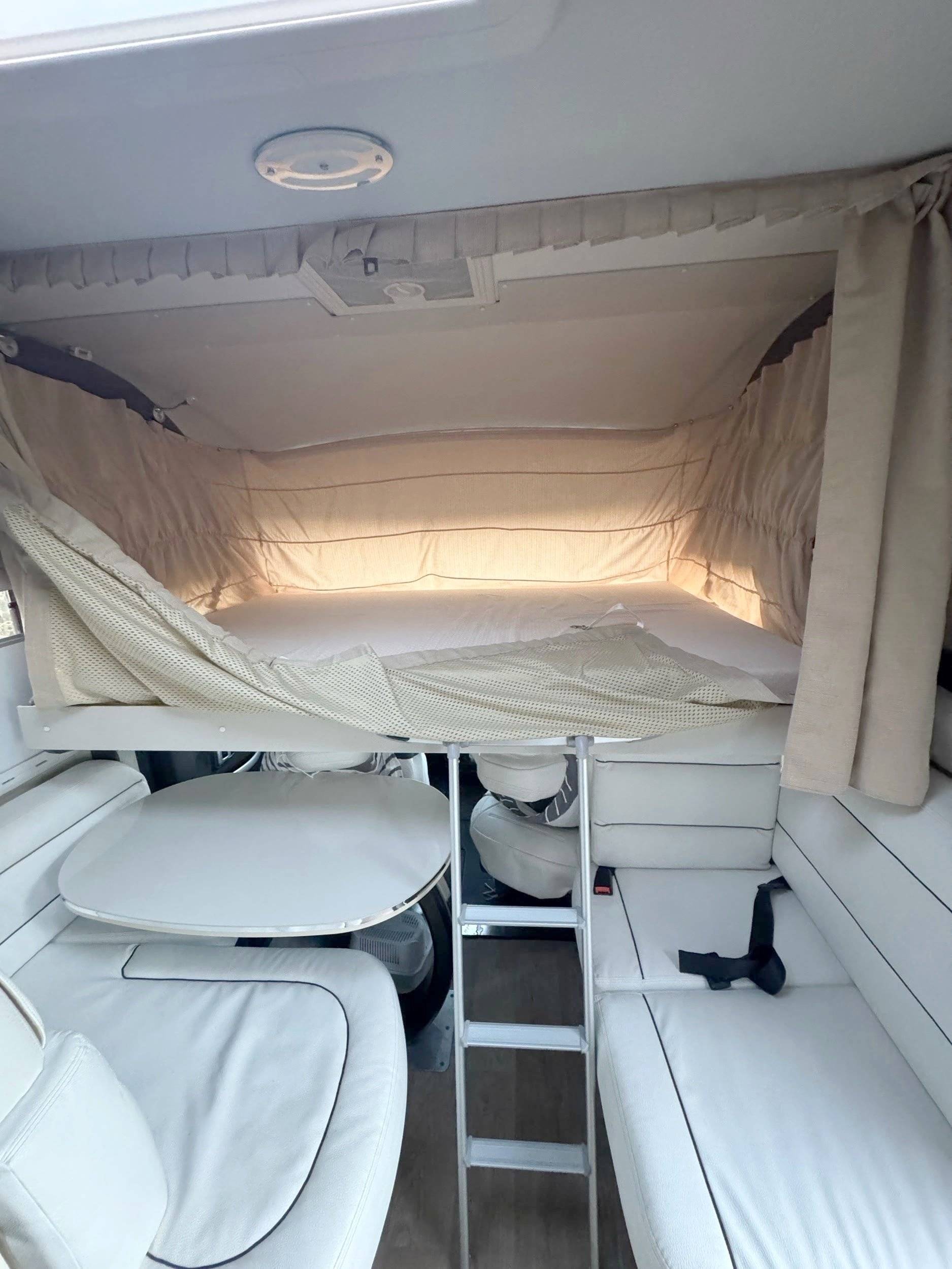 Mclouis 90 G YEARLING