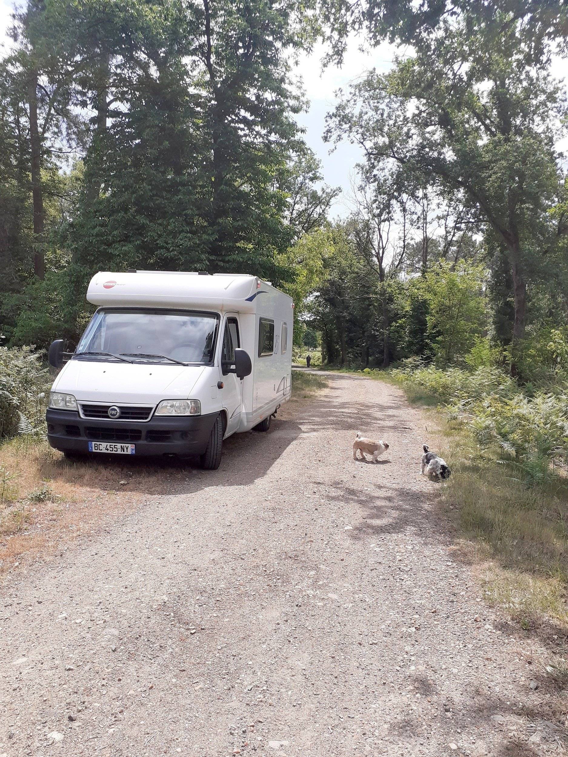 Camping-car Profilé 