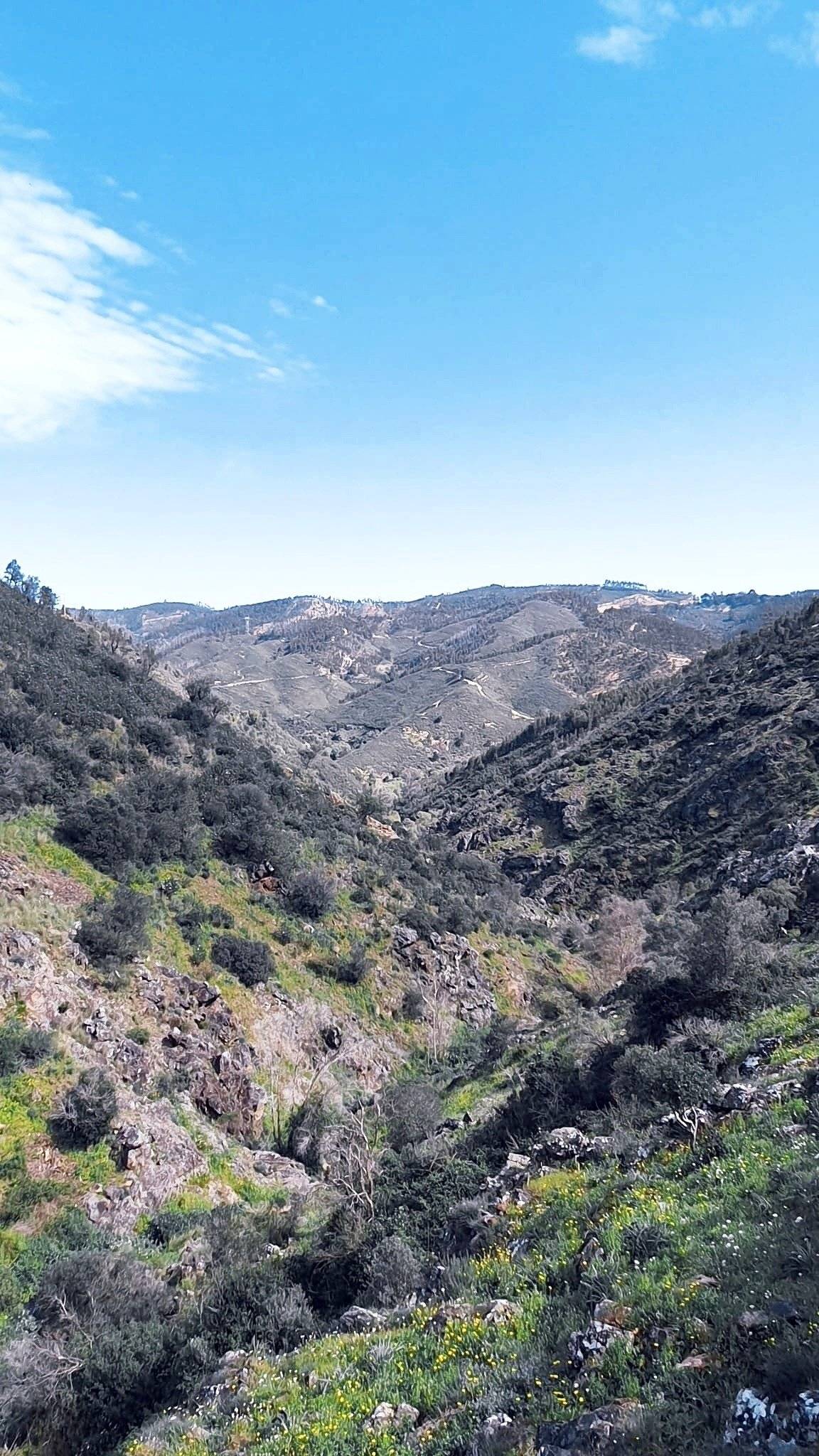 4X4 SUZUKI  suzuki Jimny