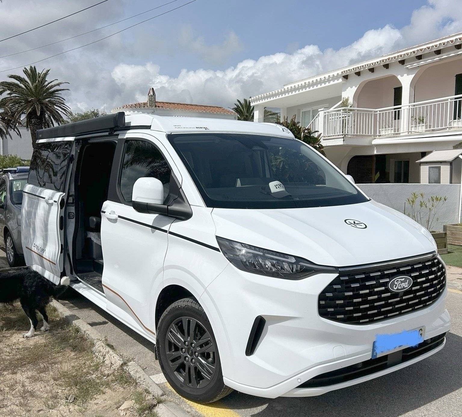 FORD  TOURNEO PANAMA PEAK 10+