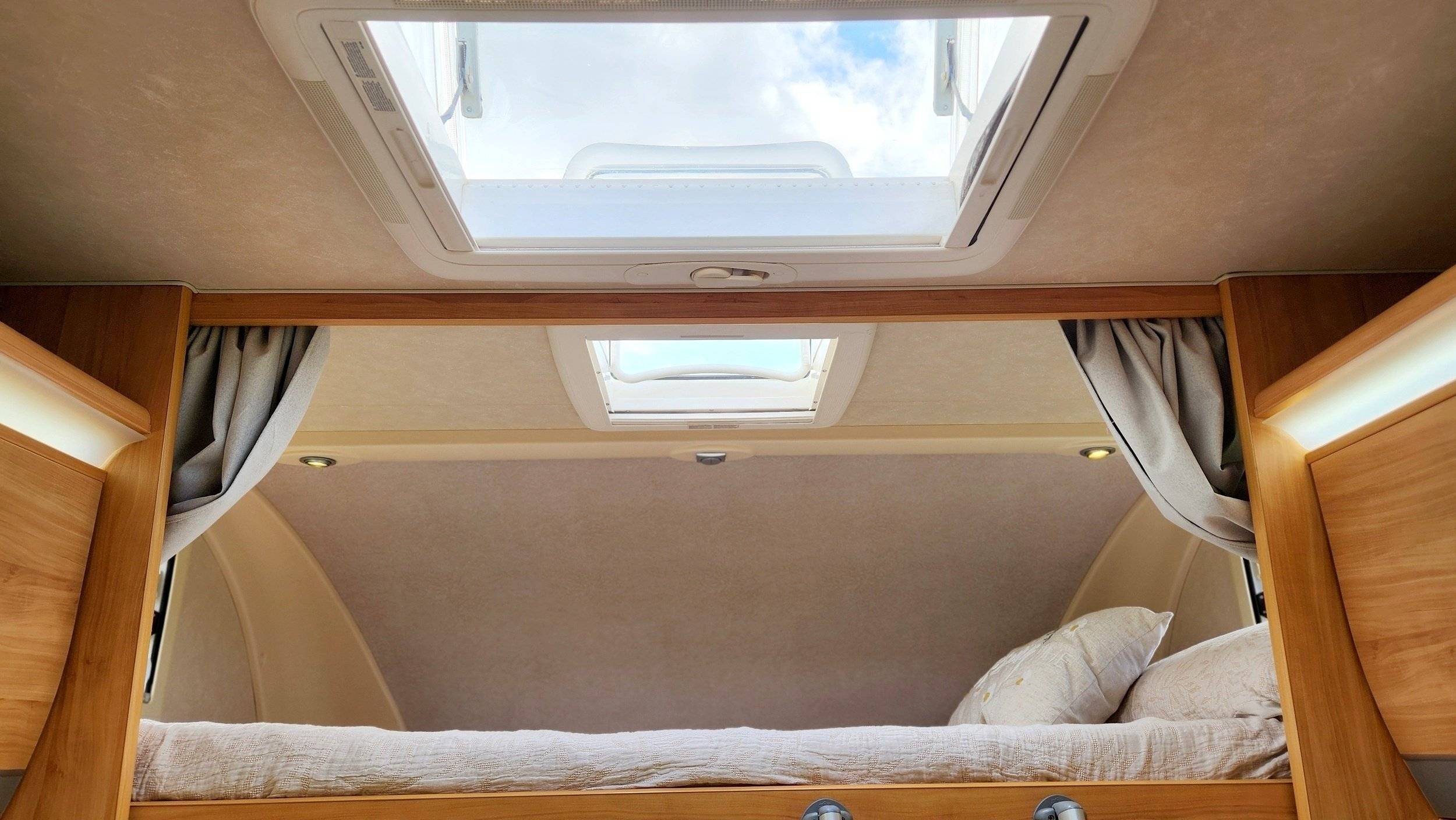 Adria Adria coral   sp660