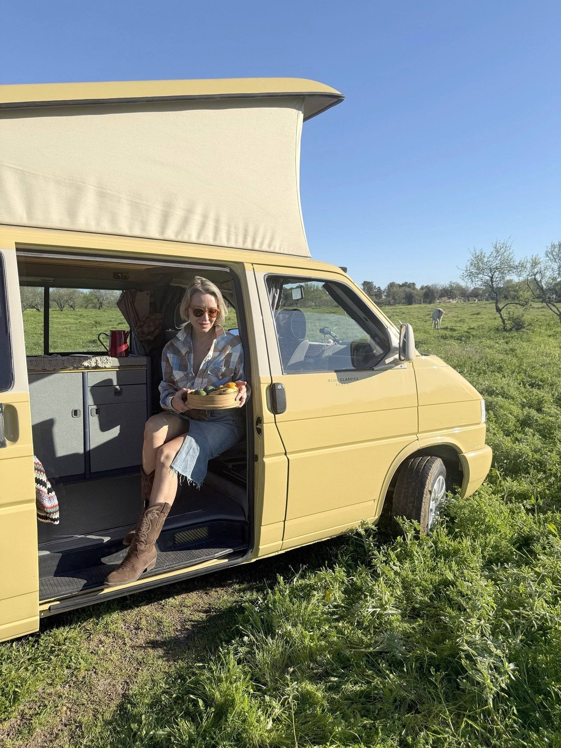 Westfalia Blue Classics